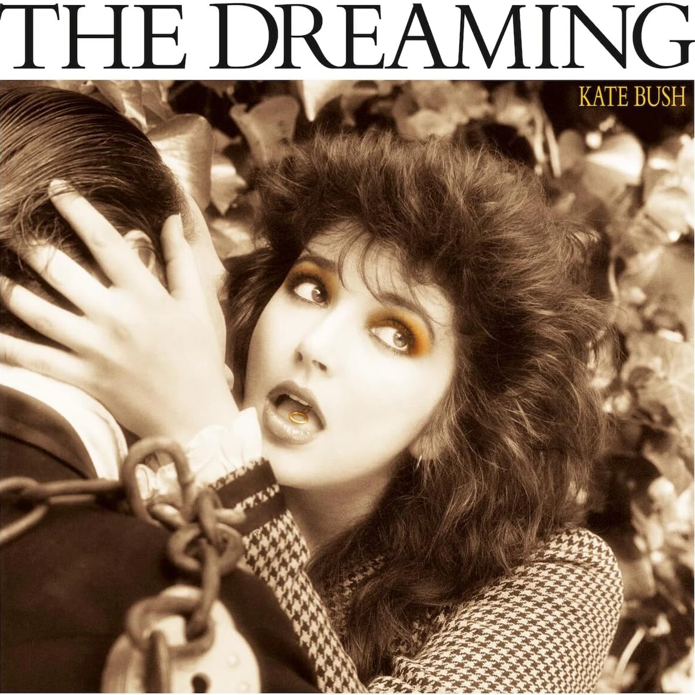 Kate Bush LP - The Dreaming (2018 Remaster) (Smokey Vinyl) (Indies Only)