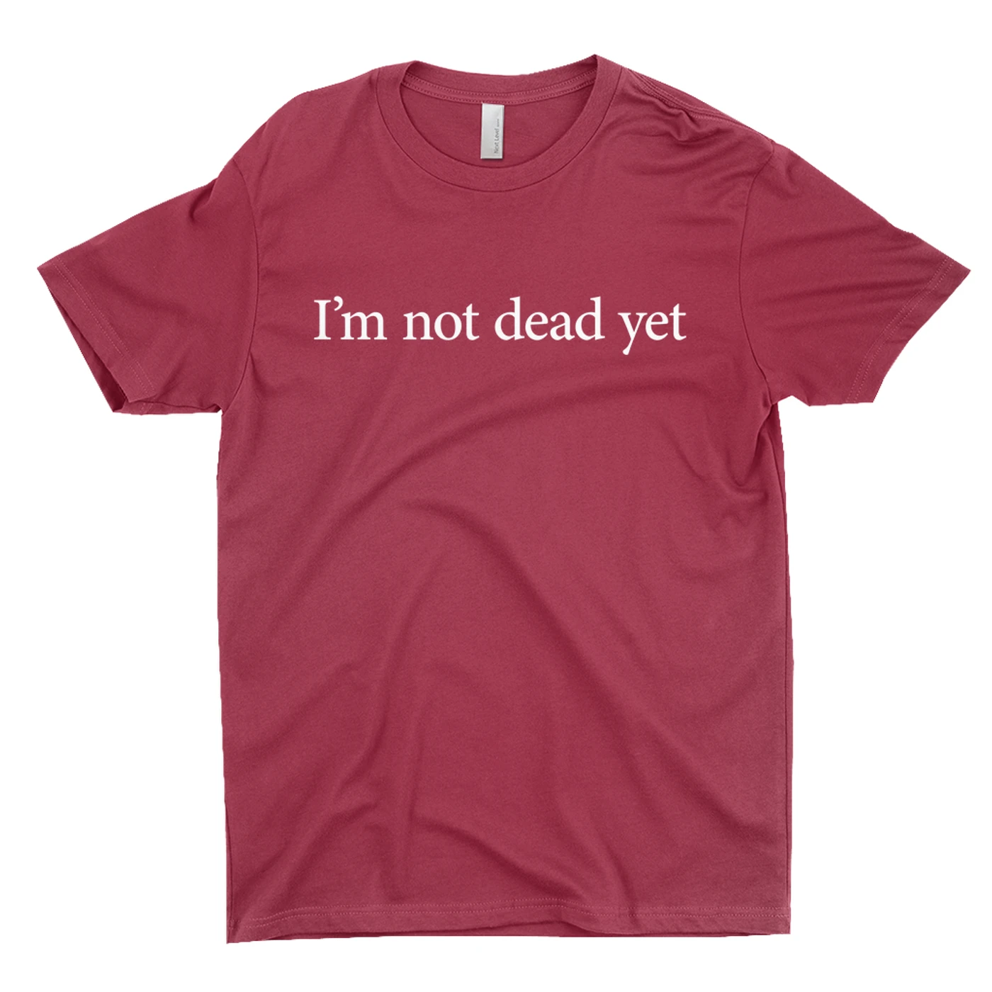 Guns N' Roses T-Shirt | I'm Not Dead Yet Worn By Slash Guns N' Roses Shirt