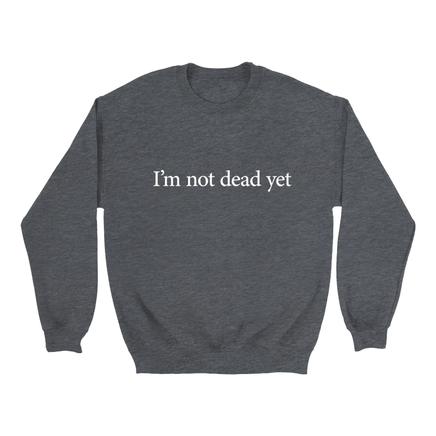 Guns N' Roses Sweatshirt | I'm Not Dead Yet Worn By Slash Guns N' Roses Sweatshirt