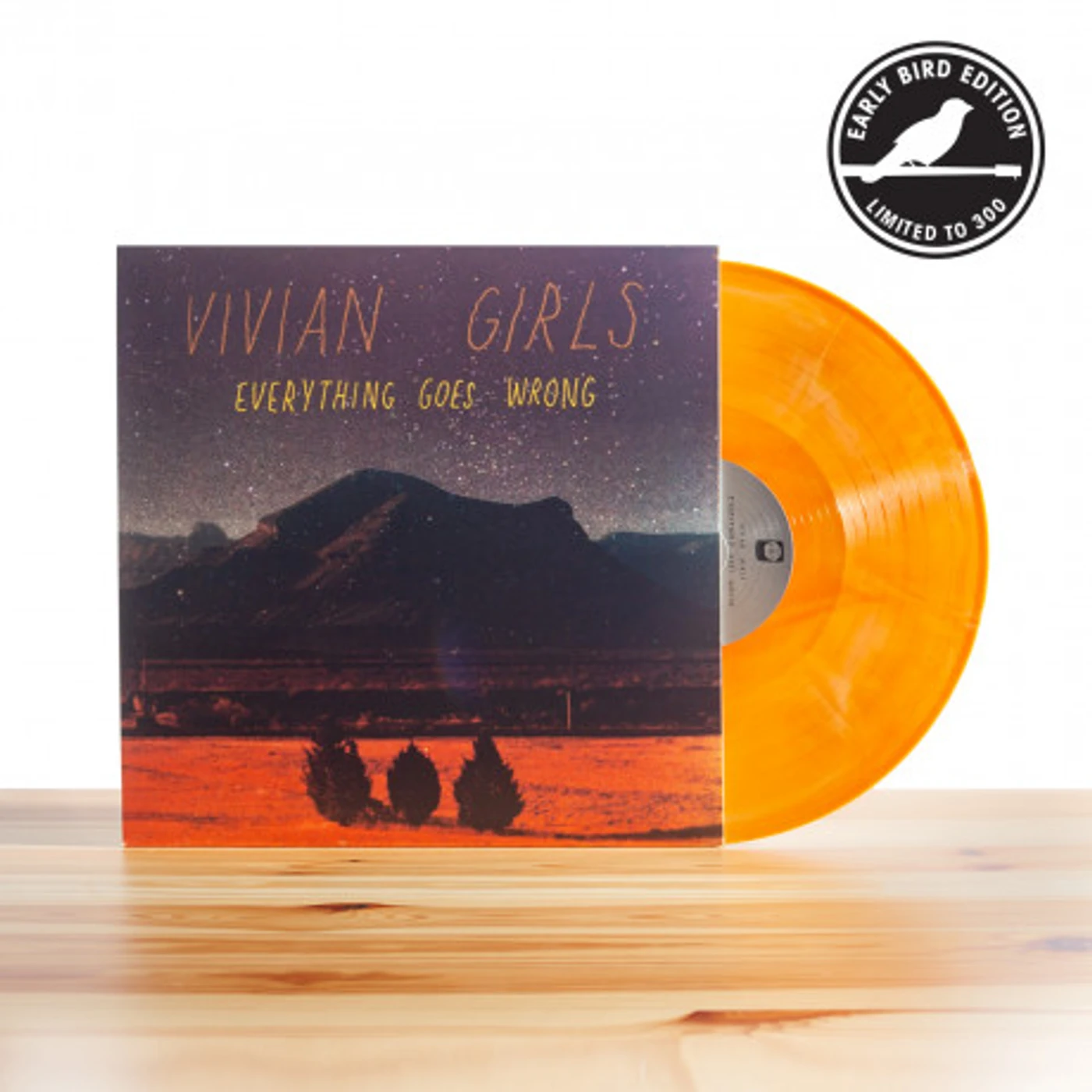 Vivian Girls Everything Goes Wrong (Vinyl)