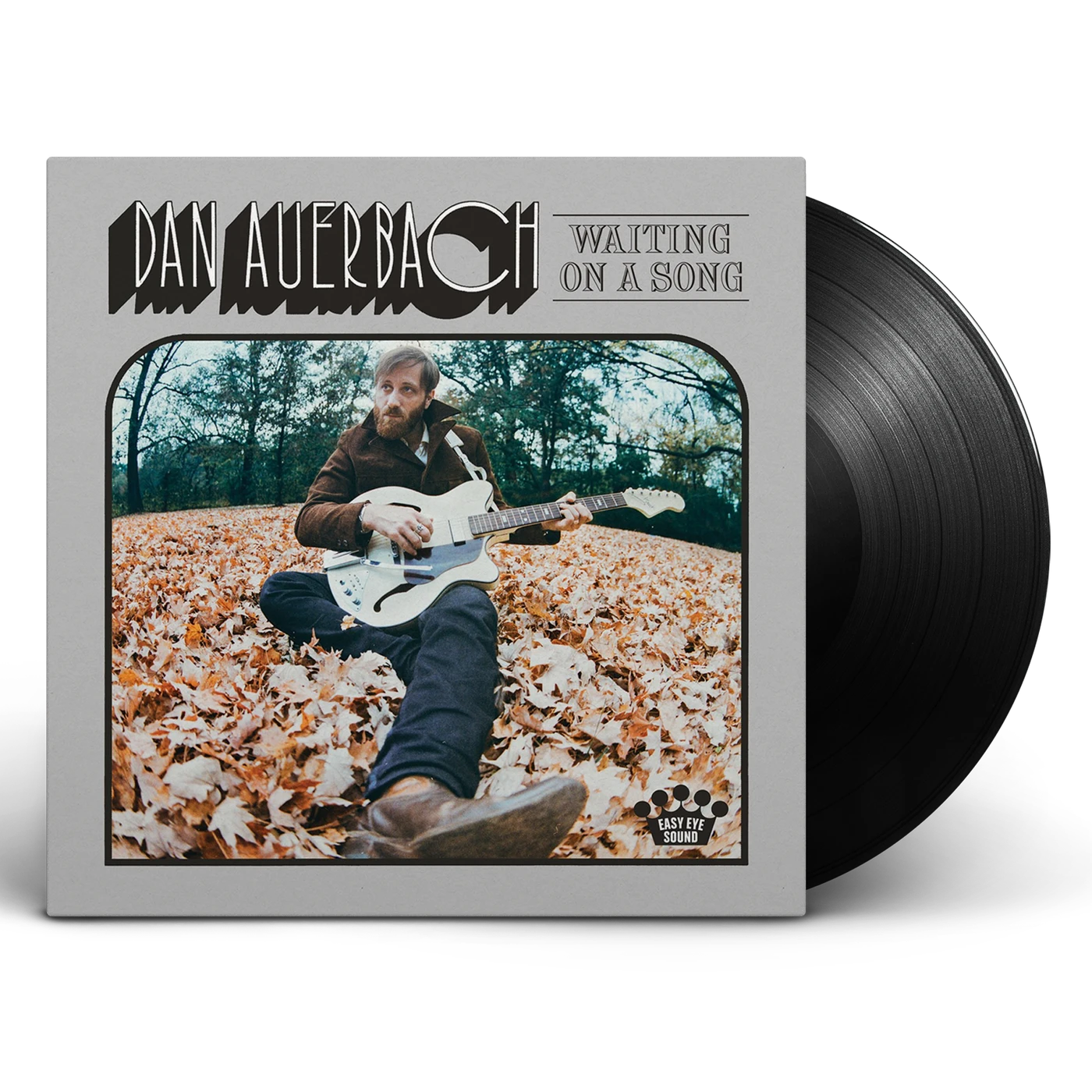 Dan Auerbach Waiting On A Song [Vinyl]