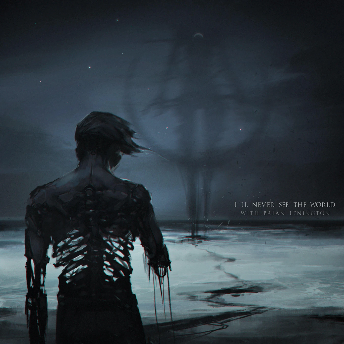 SWARM Digital Download - I'll Never See The World