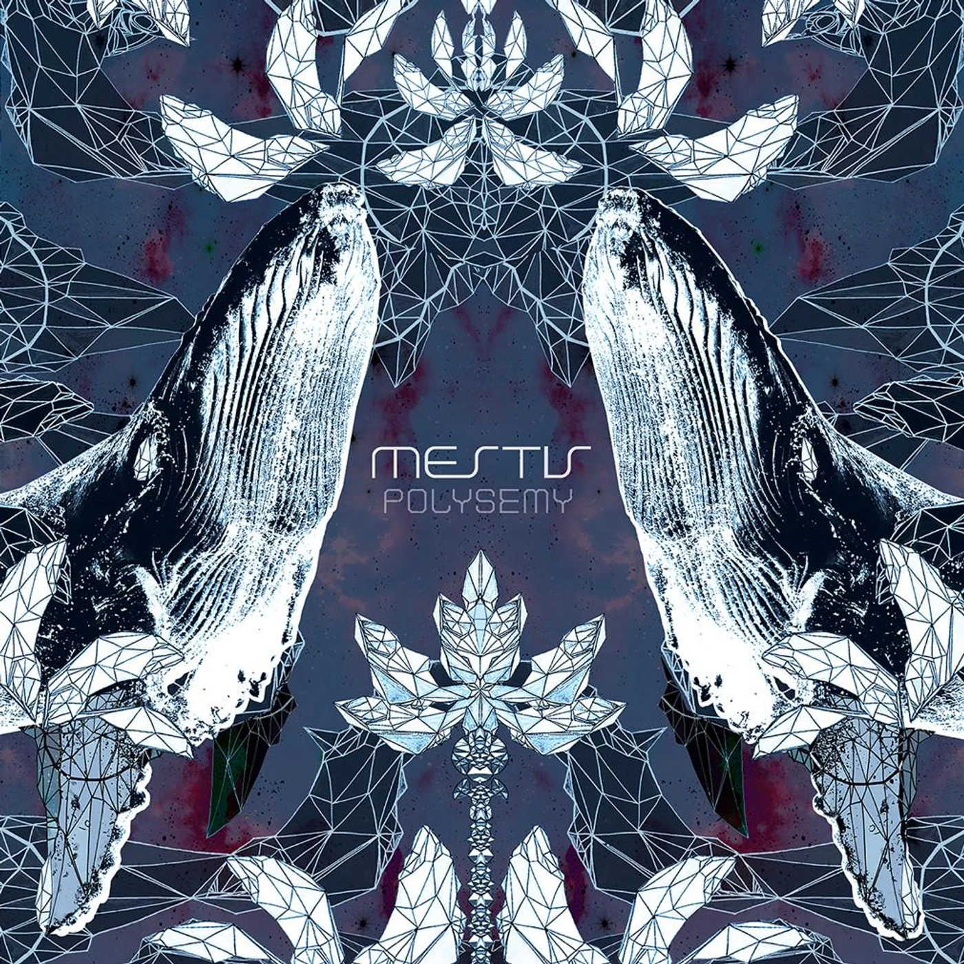Mestís - 'Polysemy' CD