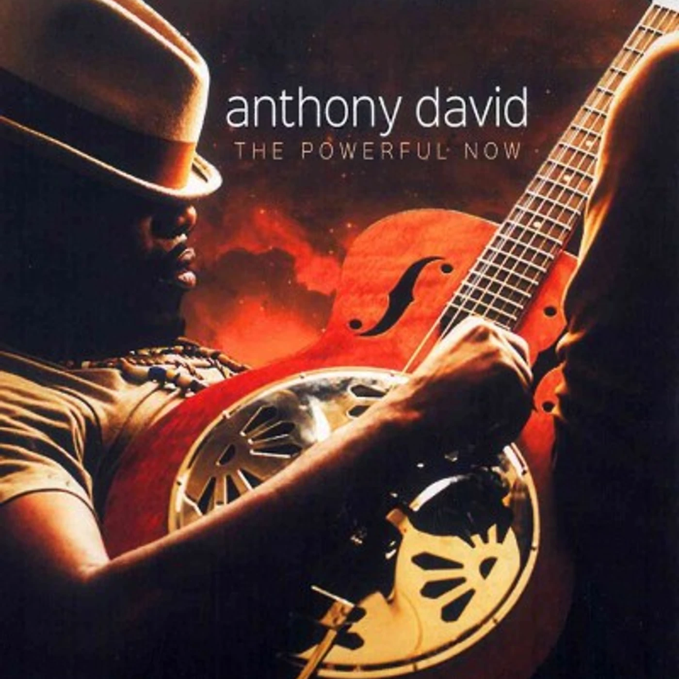 Anthony David Powerful Now [Slipcase] [8/26] * CD