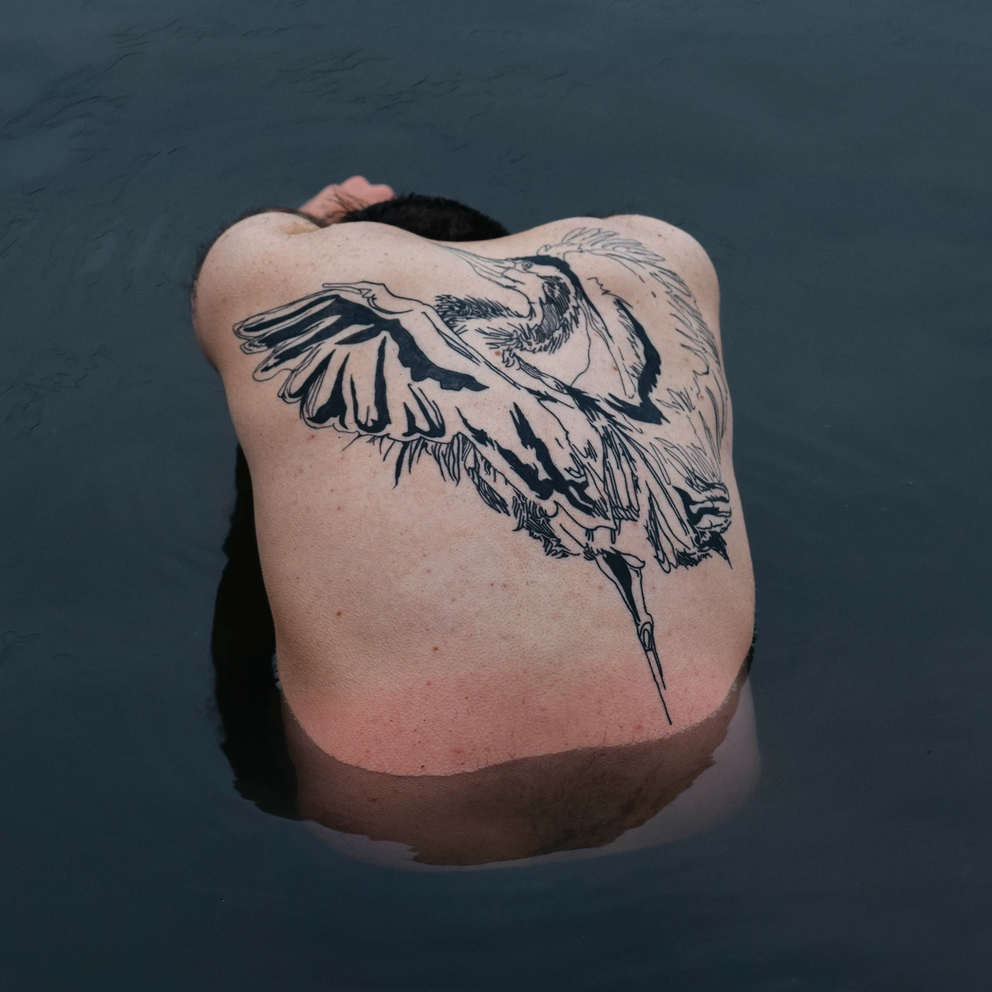 Jodi BLUE HERON CD