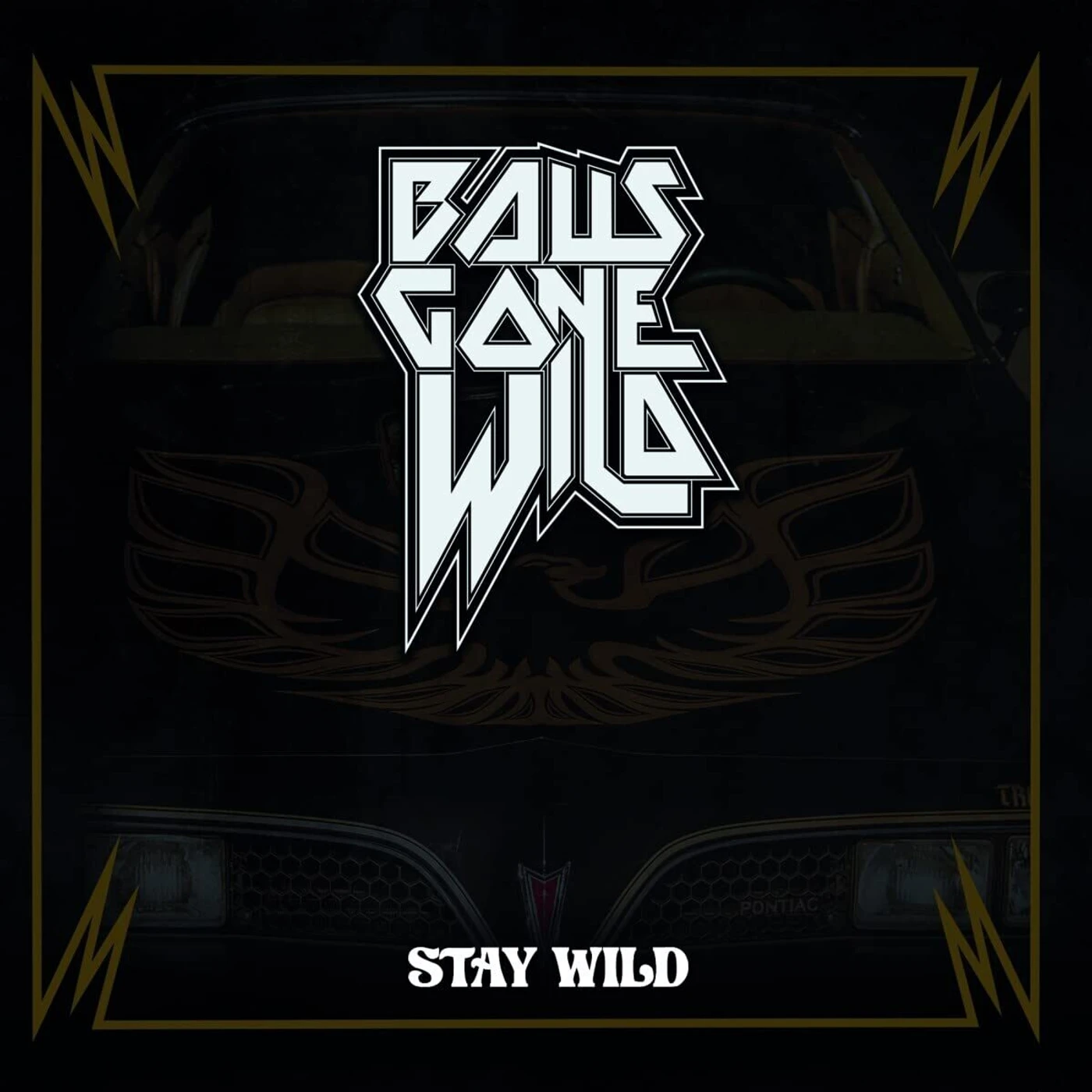Balls Gone Wild Stay Wild CD