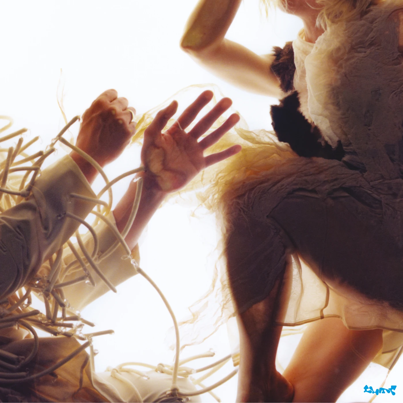 Lump Animal CD