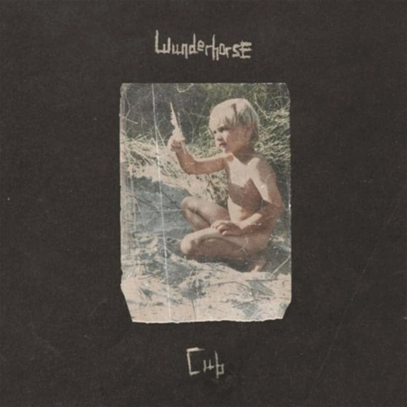 Wunderhorse Cub CD