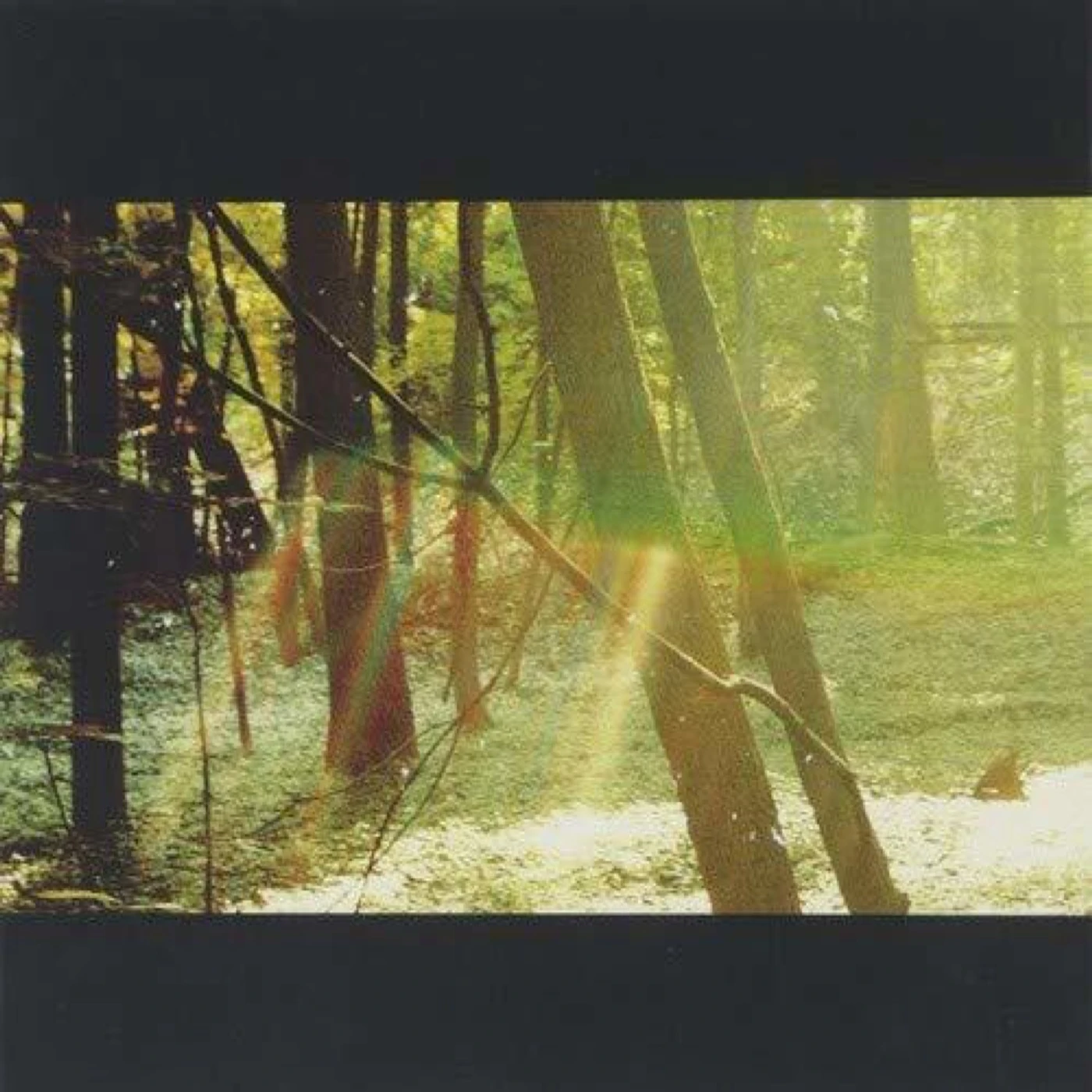 Childish Gambino Camp CD
