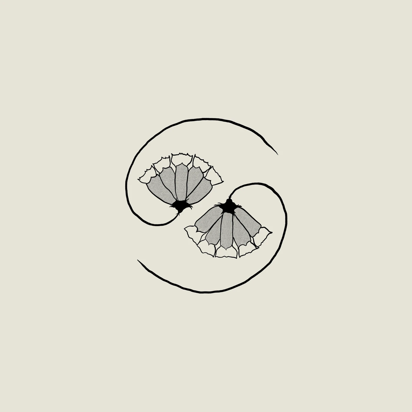 Godspeed You! Black Emperor G_D'S PEE AT STATE'S END! (180G/LP/10INCH) Vinyl Record