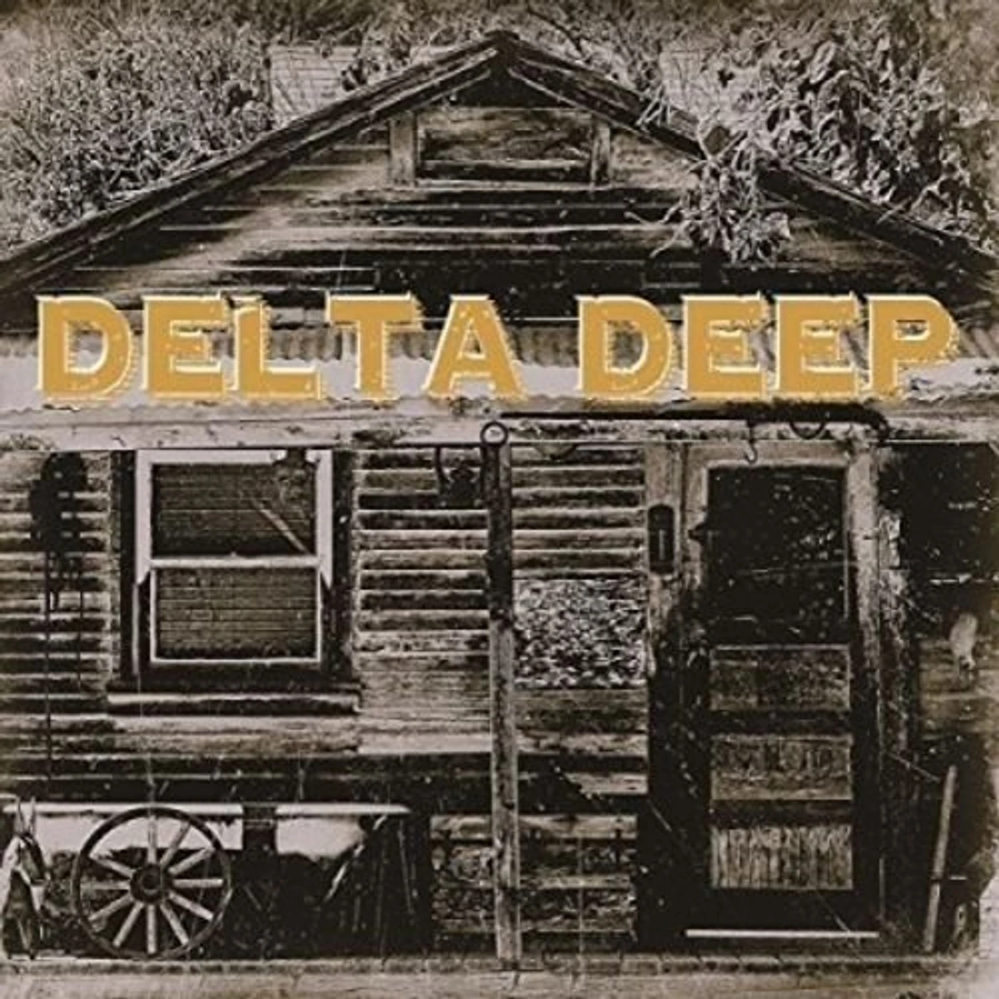 Delta Deep Vinyl Record