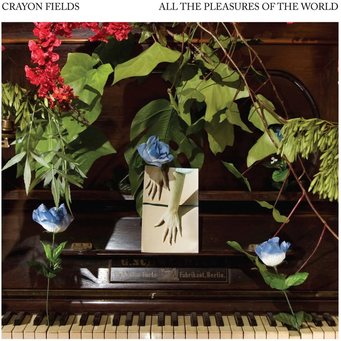 The Crayon Fields ALL THE PLEASURES OF THE WORLD (DELUXE EDITION) (BLUE & GREEN GALAXY SWIRL VINYL) Vinyl Record