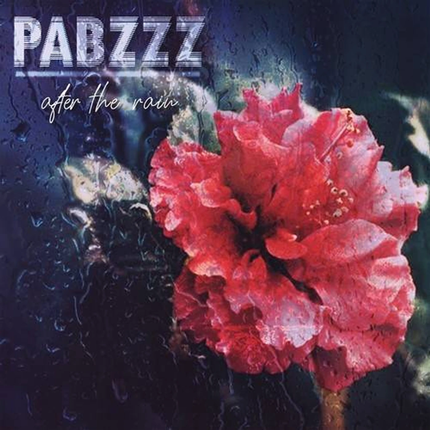 Pabzzz After The Rain Vinyl Record