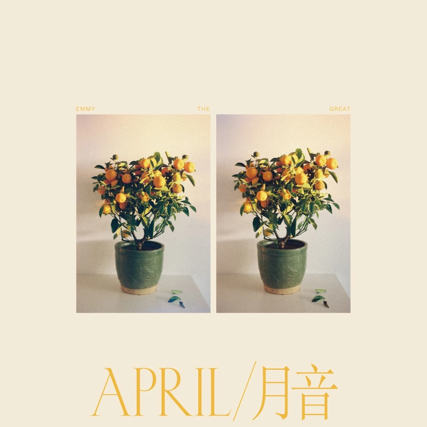 Emmy The Great April Vinyl Record