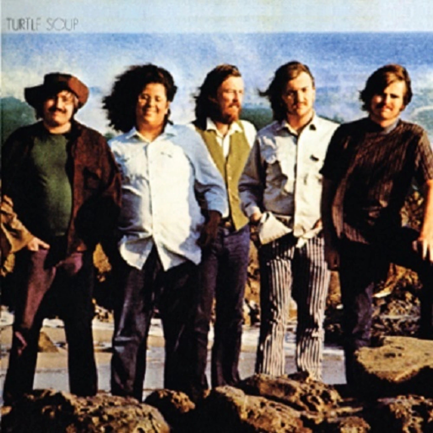 The Turtles Turtle Soup Vinyl Record