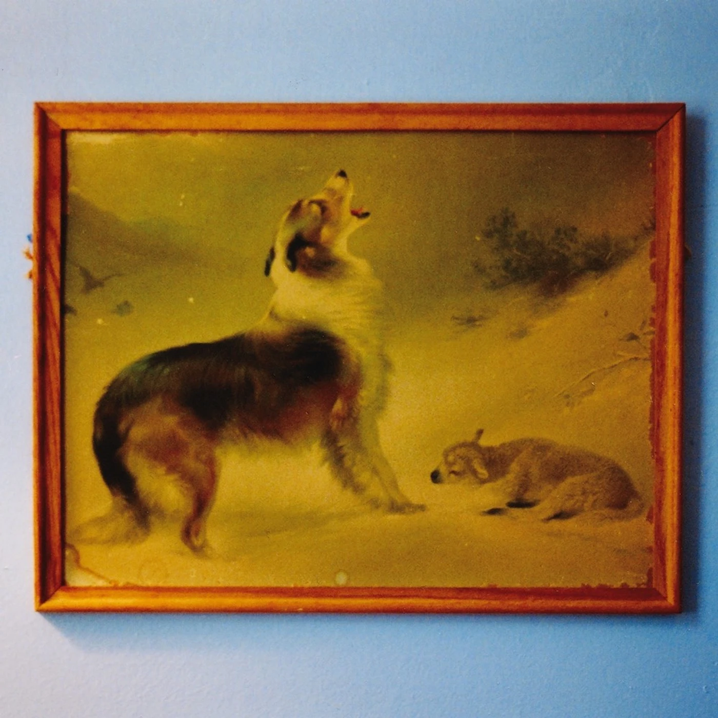 Explosions In The Sky RESCUE Vinyl Record