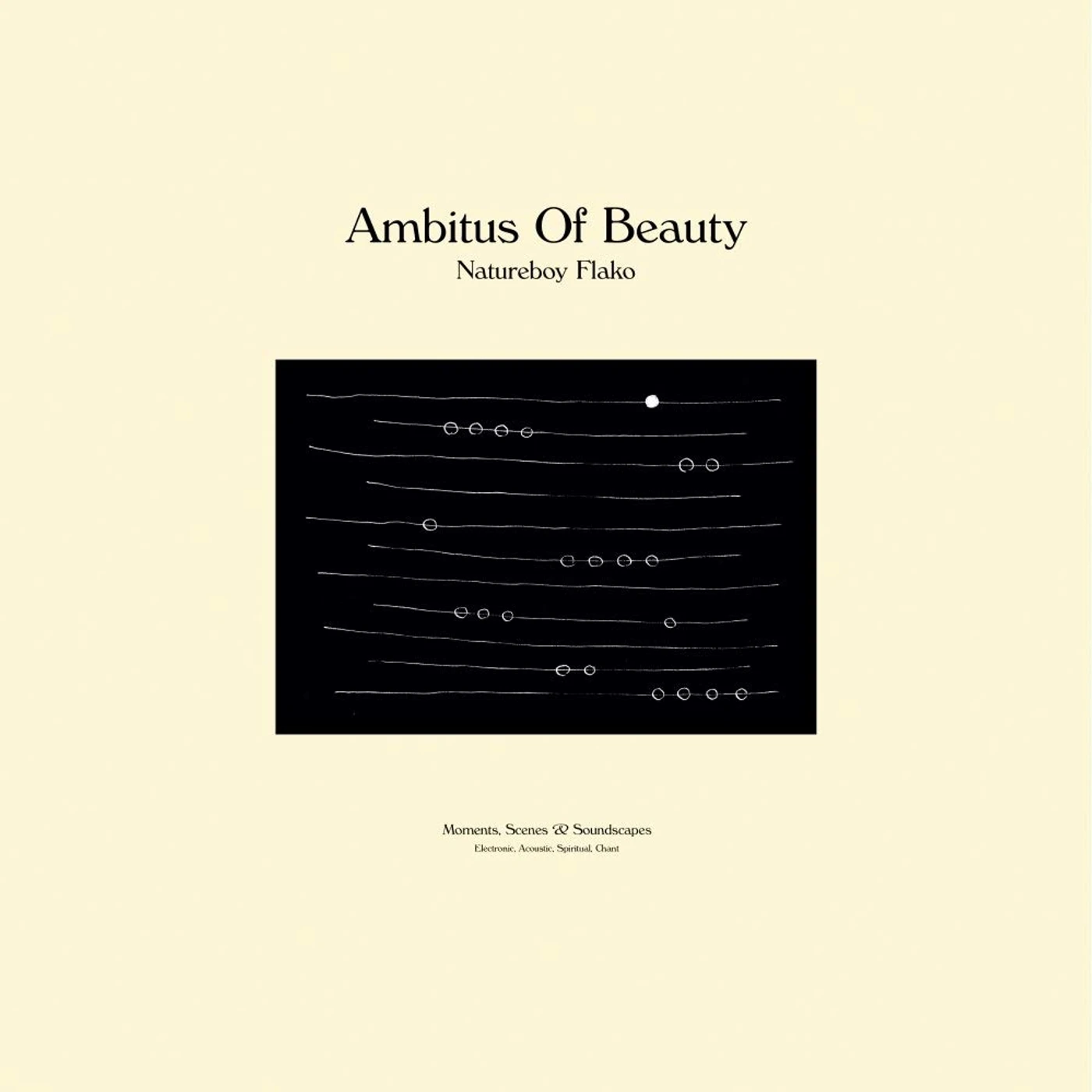 Natureboy Flako Ambitus Of Beauty Vinyl Record