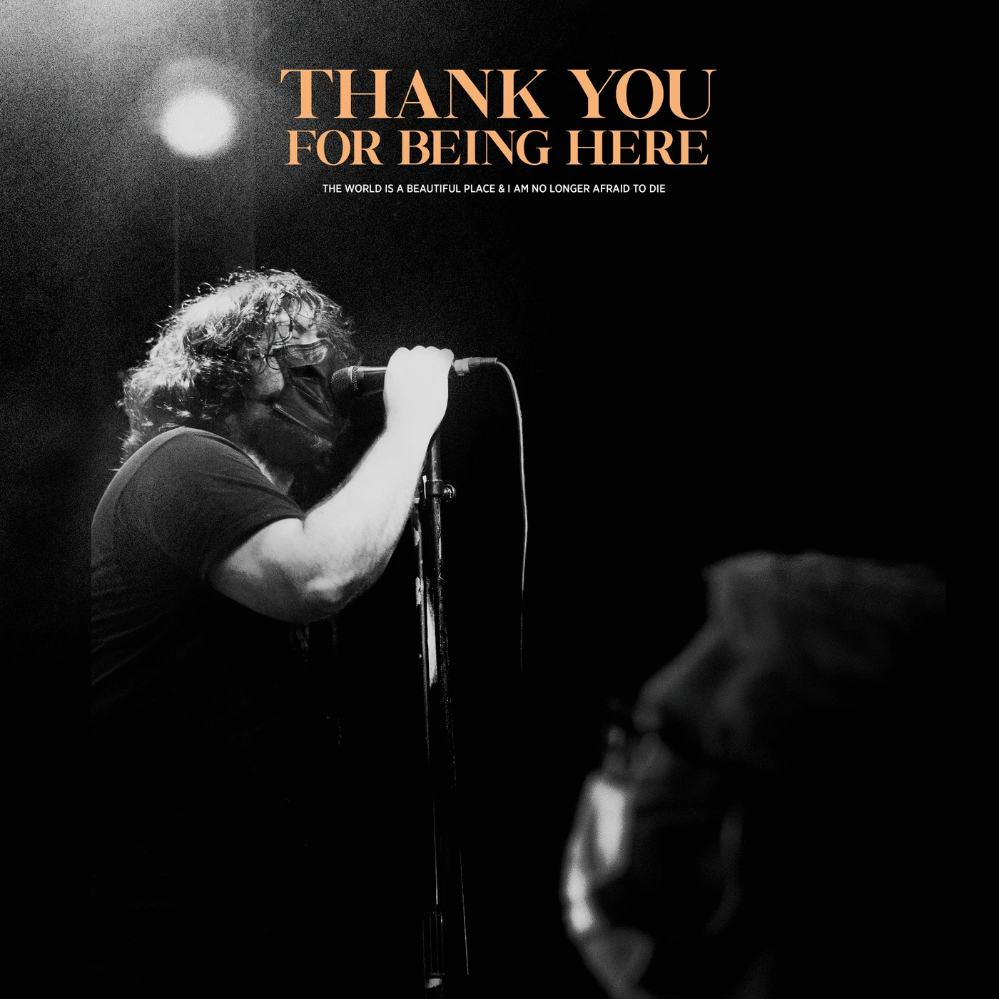 The World Is A Beautiful Place & I Am No Longer Afraid To Die Thank You For Being Here (Live) Vinyl Record