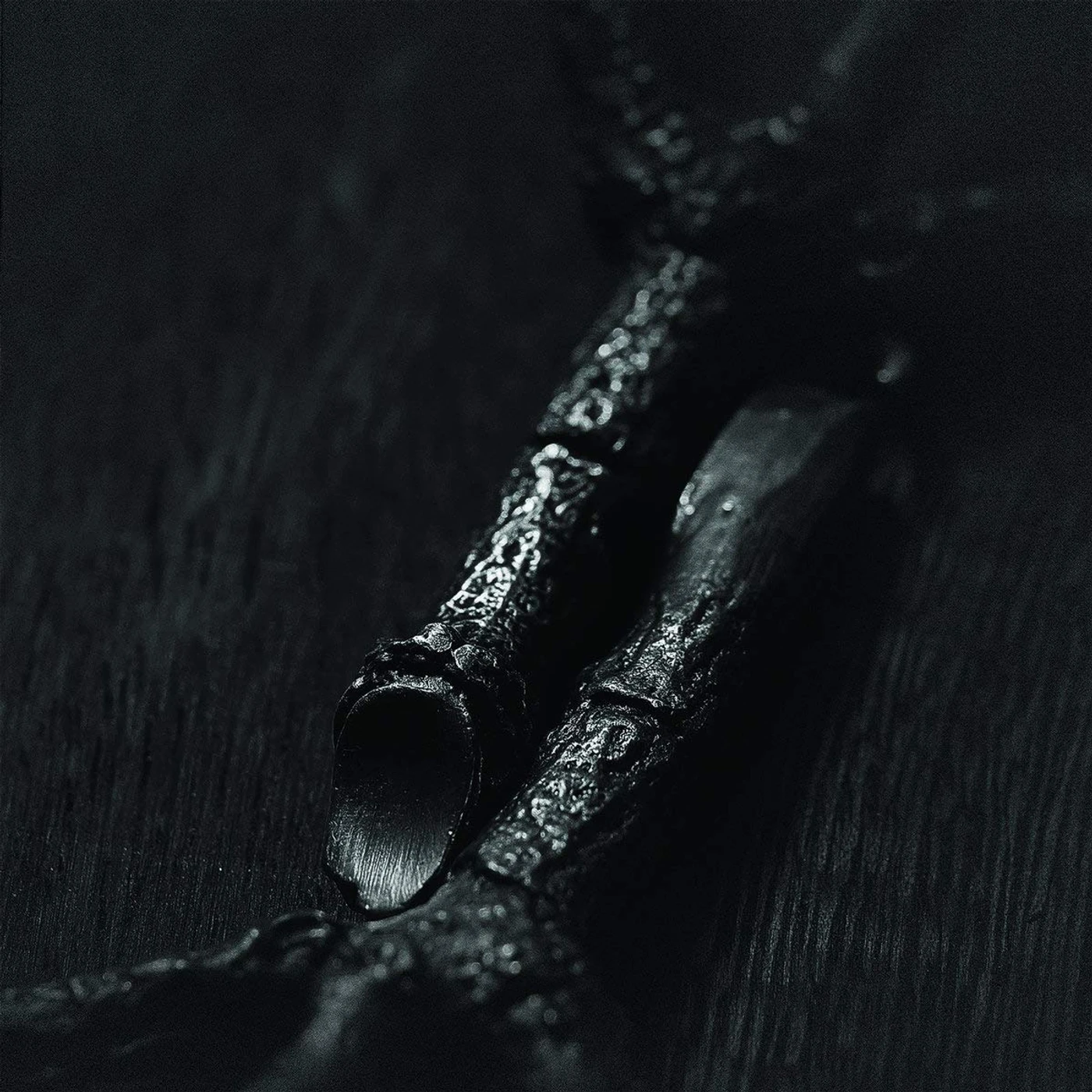 Trepaneringsritualen Algir; Eller Algir I Merkstave Vinyl Record