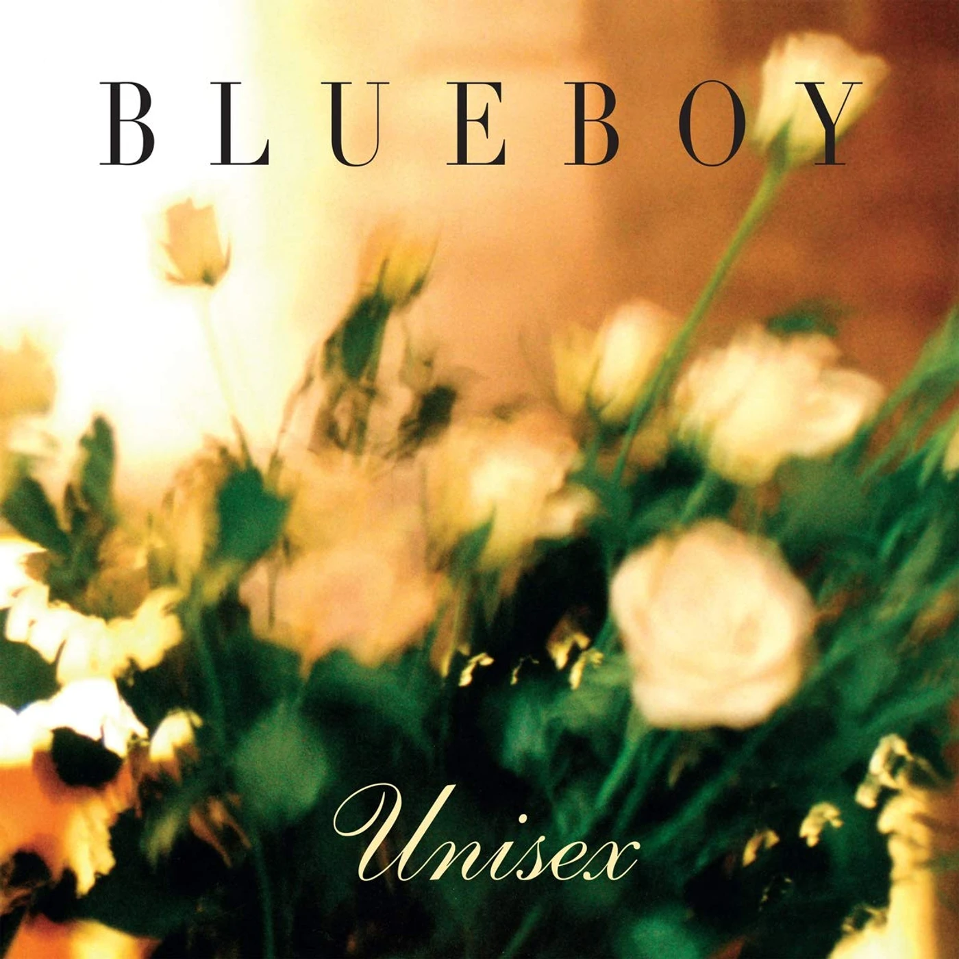 Blueboy Unisex Vinyl Record