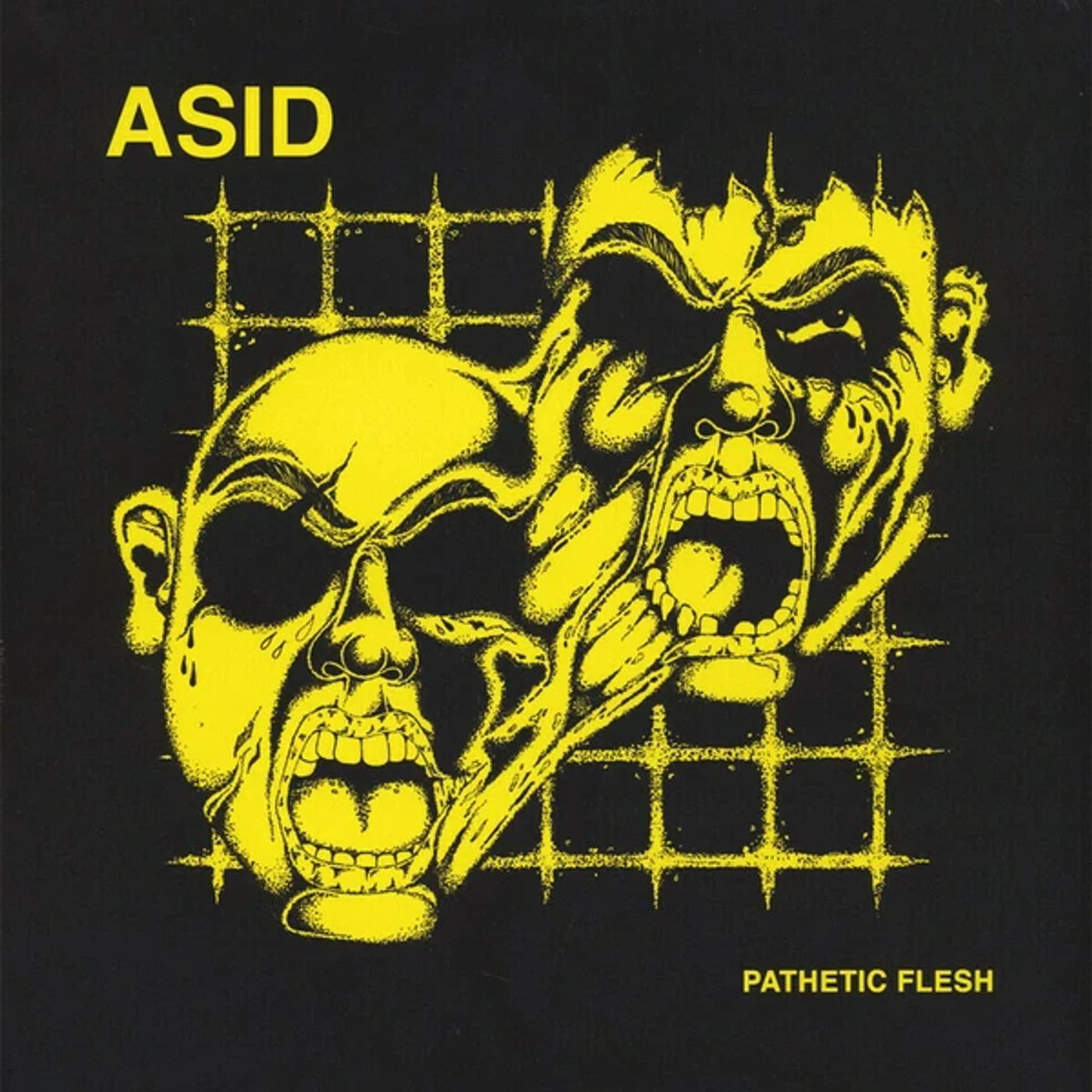Asid Pathetic Flesh Vinyl Record