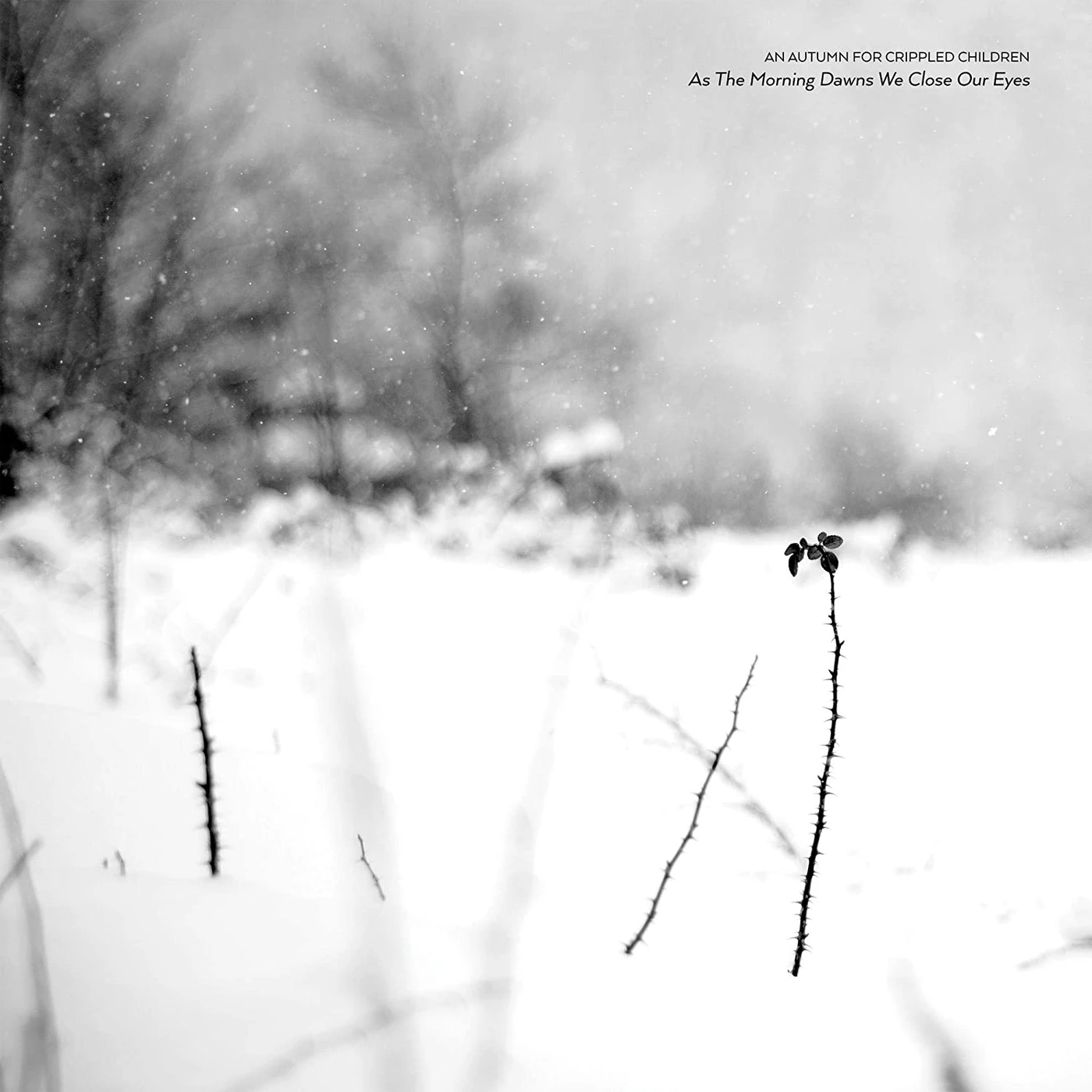 An Autumn for Crippled Children AS THE MORNING DAWNS WE CLOSE OUR EYES CD