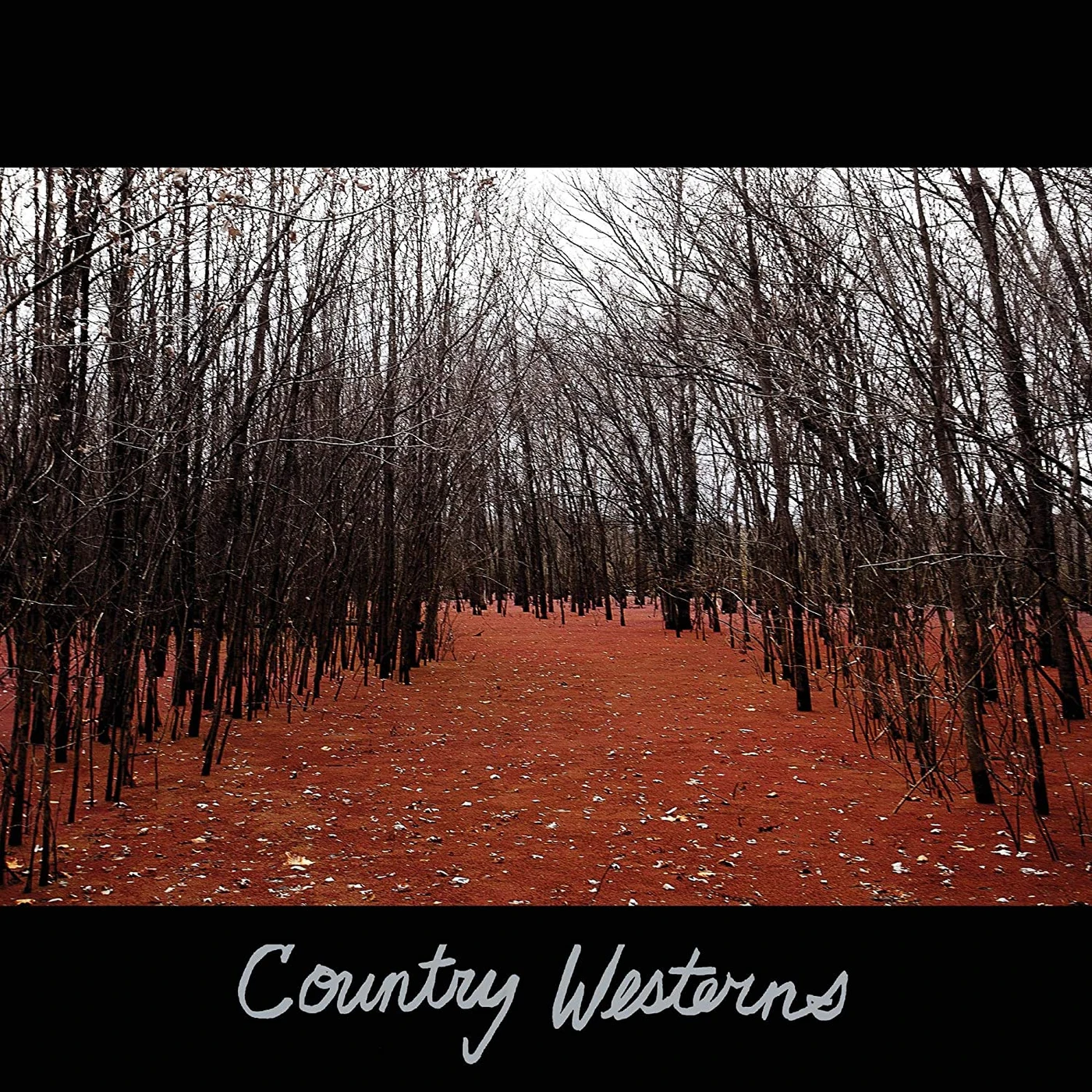 COUNTRY WESTERNS CD