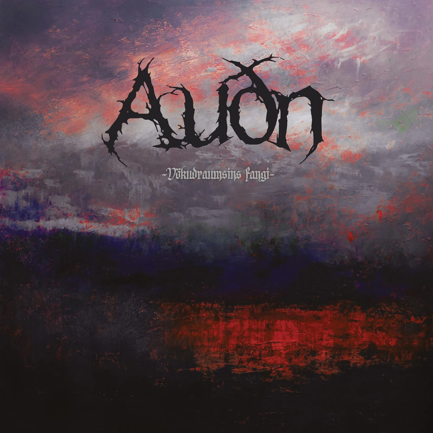 Audn VOKUDRAUMSINS FANGI CD
