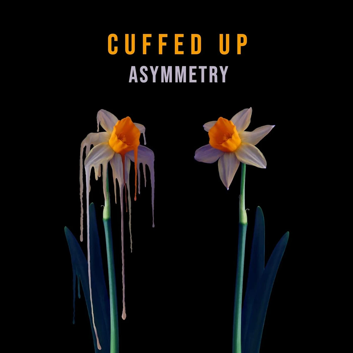 Cuffed Up ASYMMETRY CD