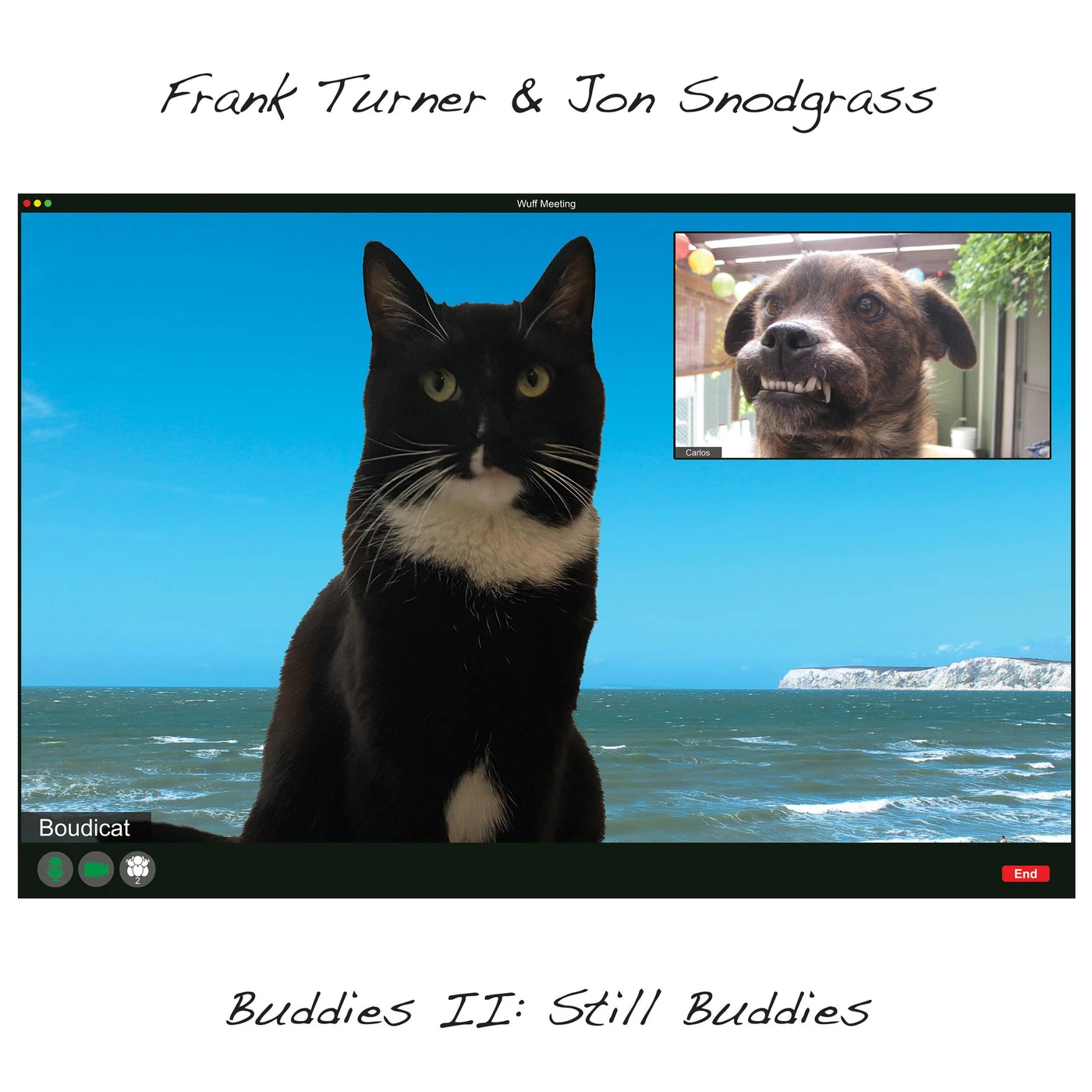 Frank Turner & Jon Snodgrass BUDDIES II: STILL BUDDIES CD