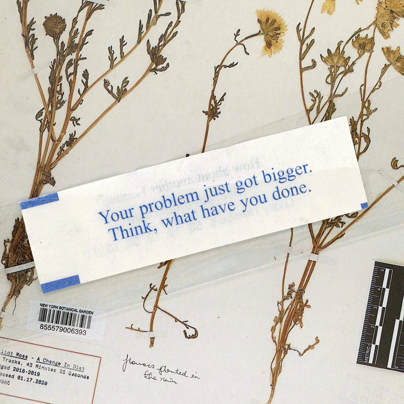 Elliot Moss CHANGE IN DIET CD