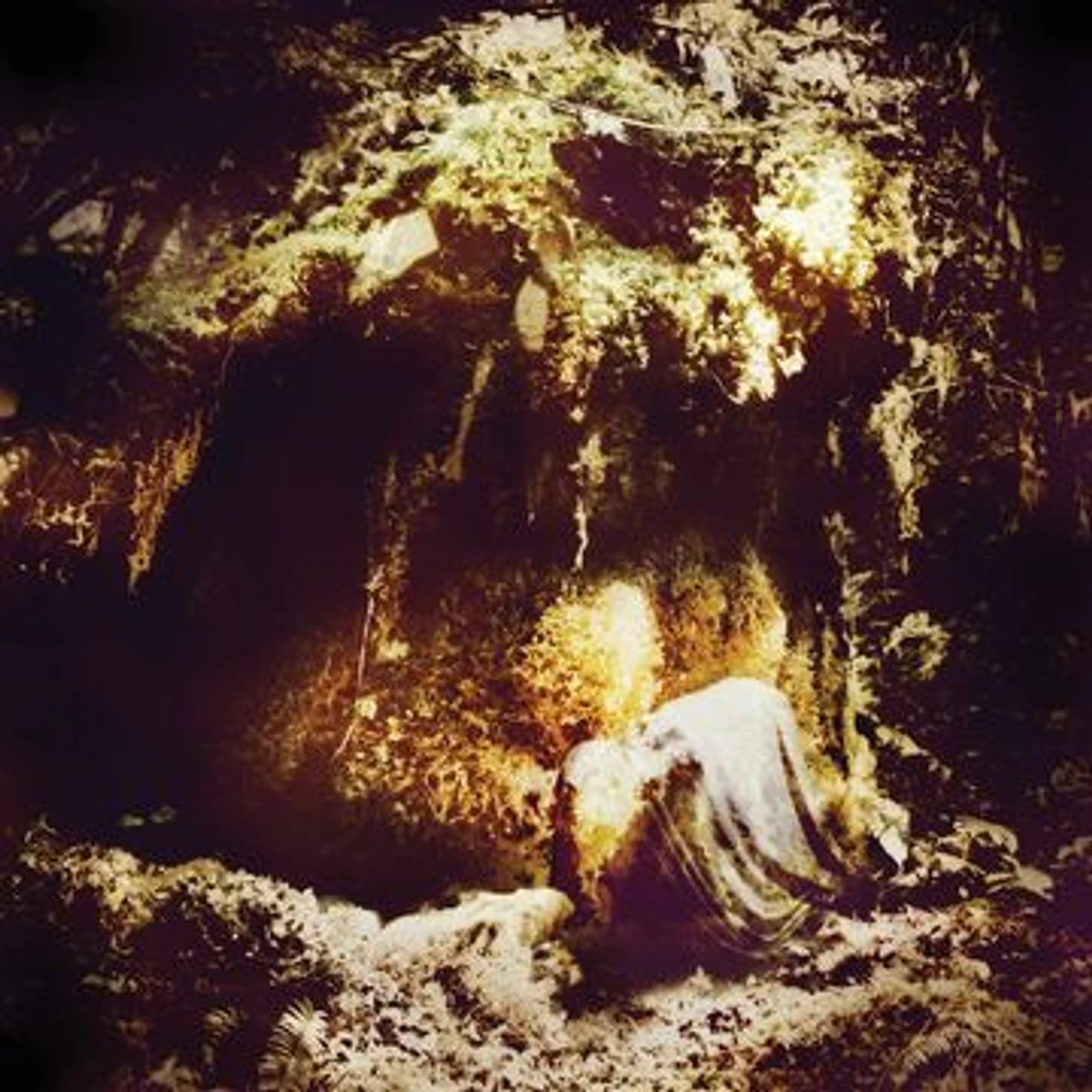 Wolves In The Throne Room Celestial Lineage Vinyl Record