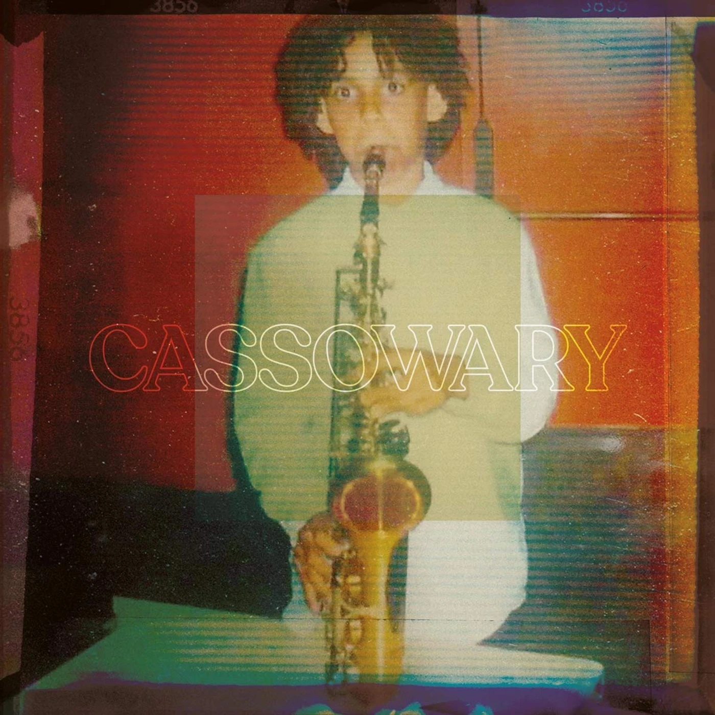 Cassowary Vinyl Record