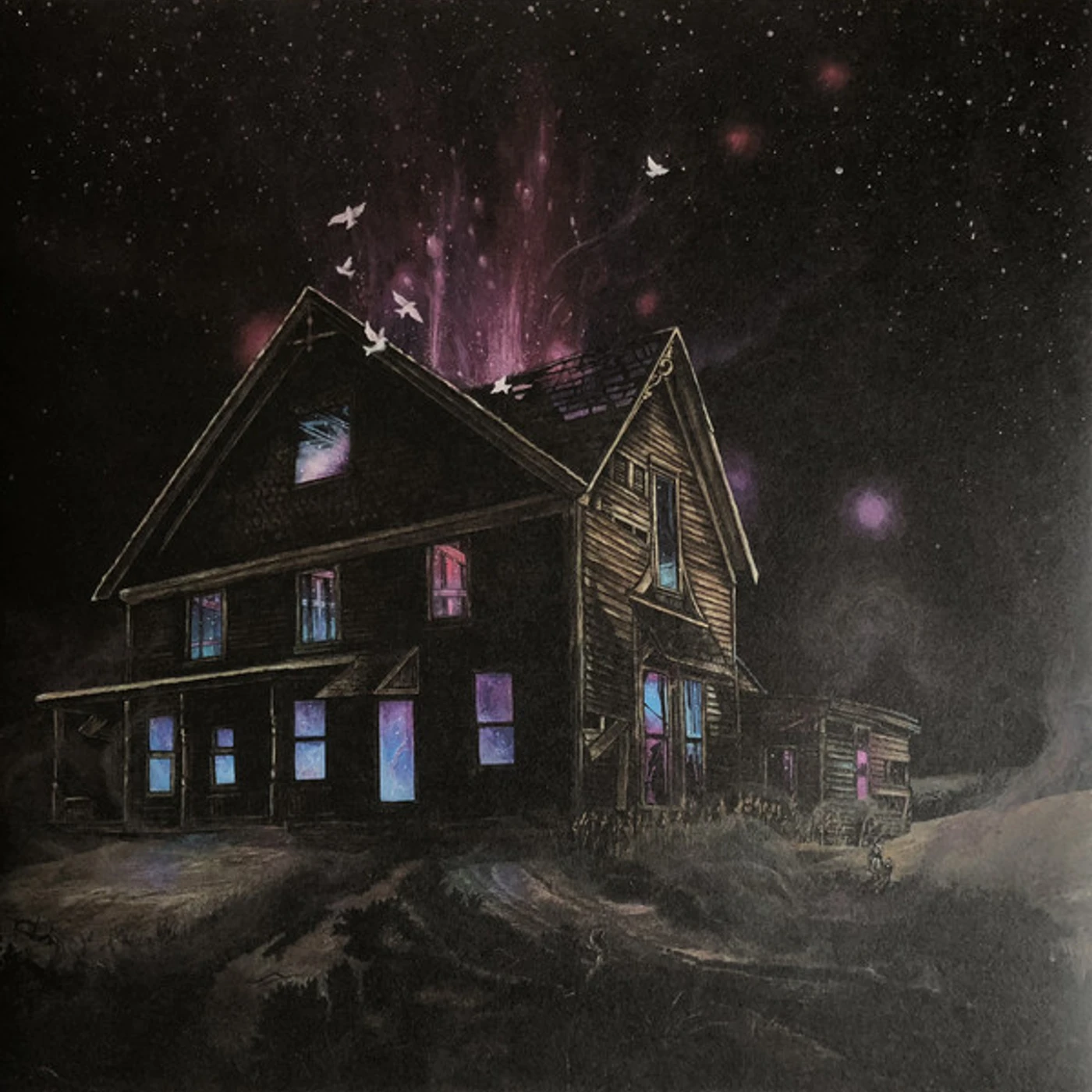 Ancestors Suspended in reflections Vinyl Record