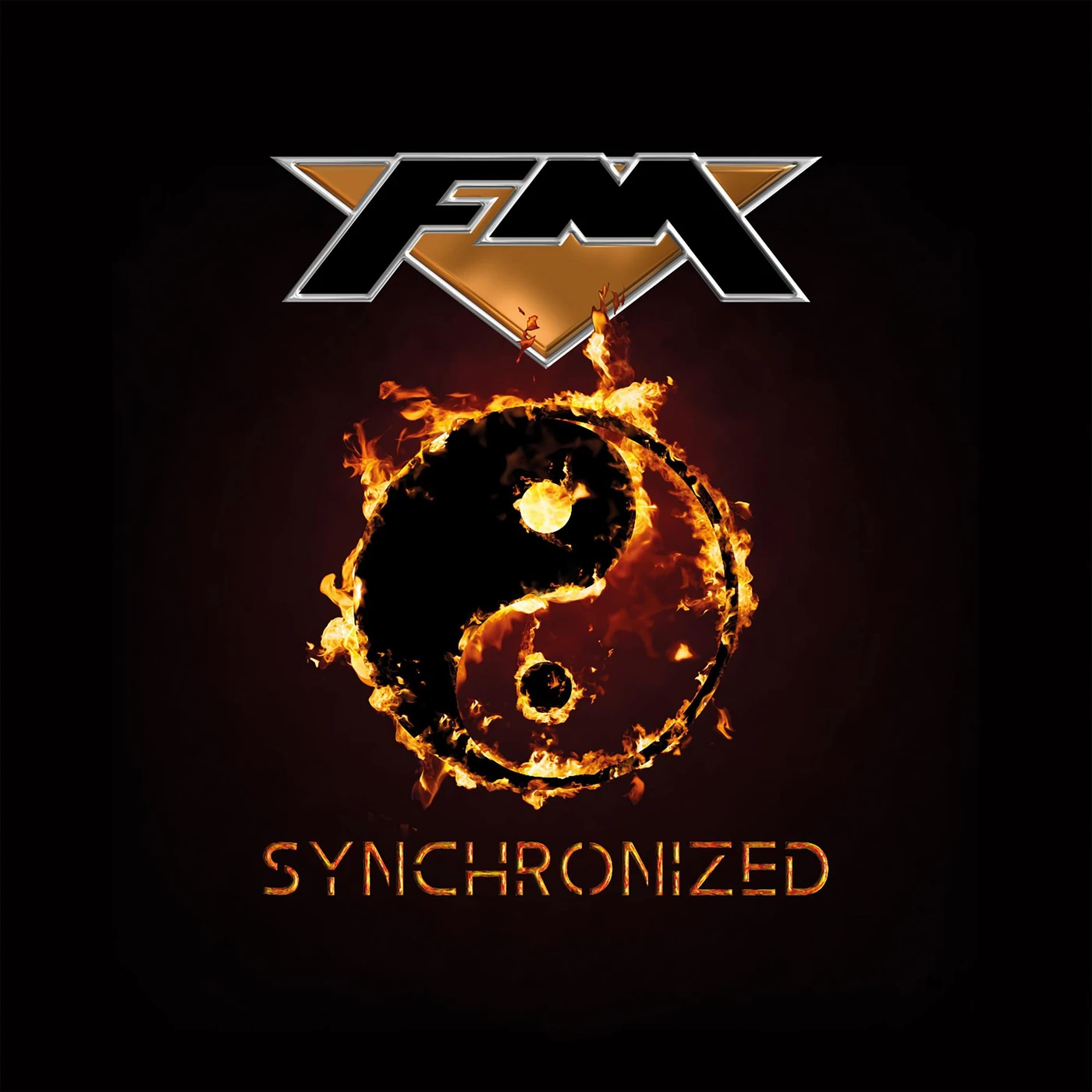 FM Synchronized Vinyl Record
