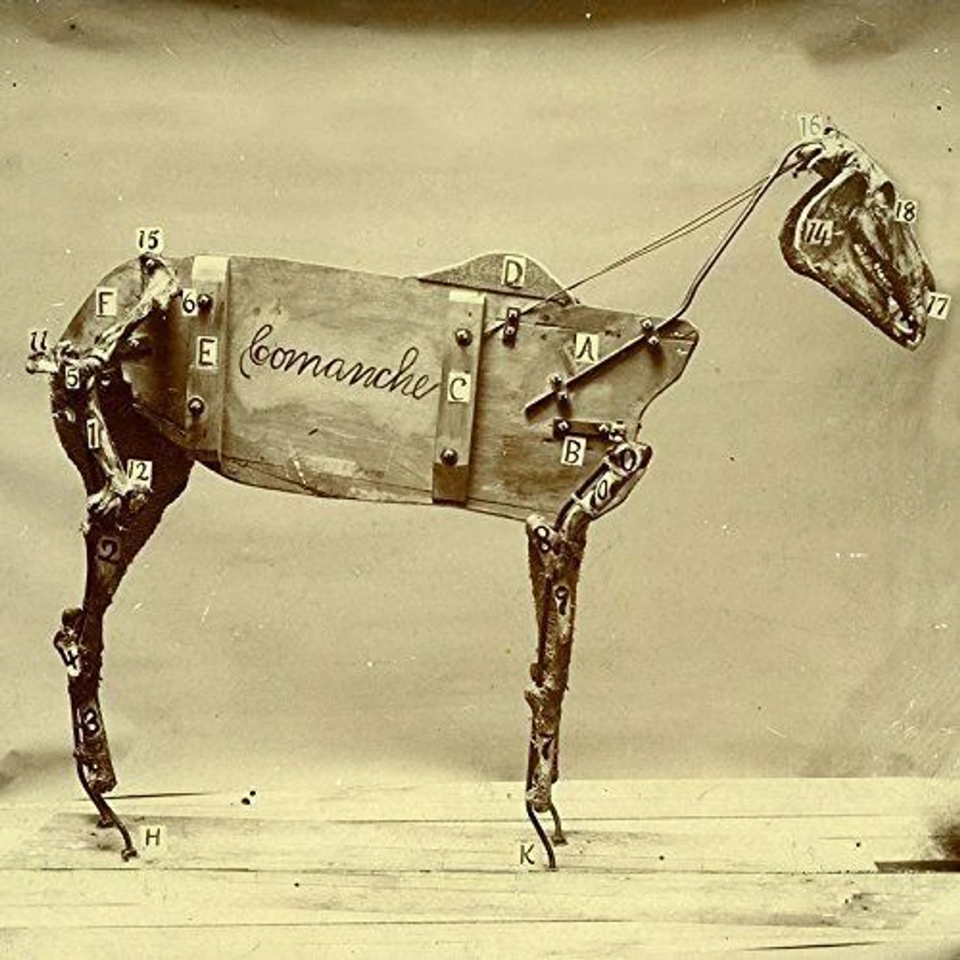 Chadwick Stokes Horse Comanche Vinyl Record