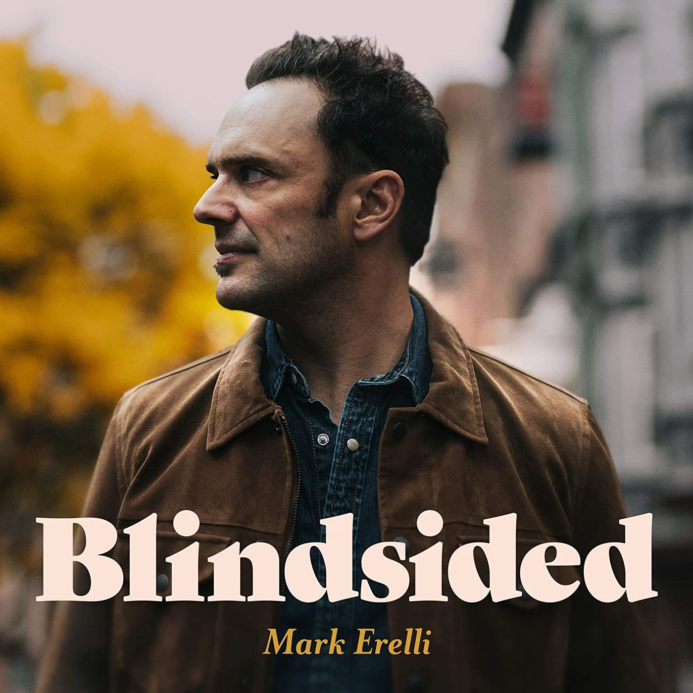 Mark Erelli Blindsided Vinyl Record