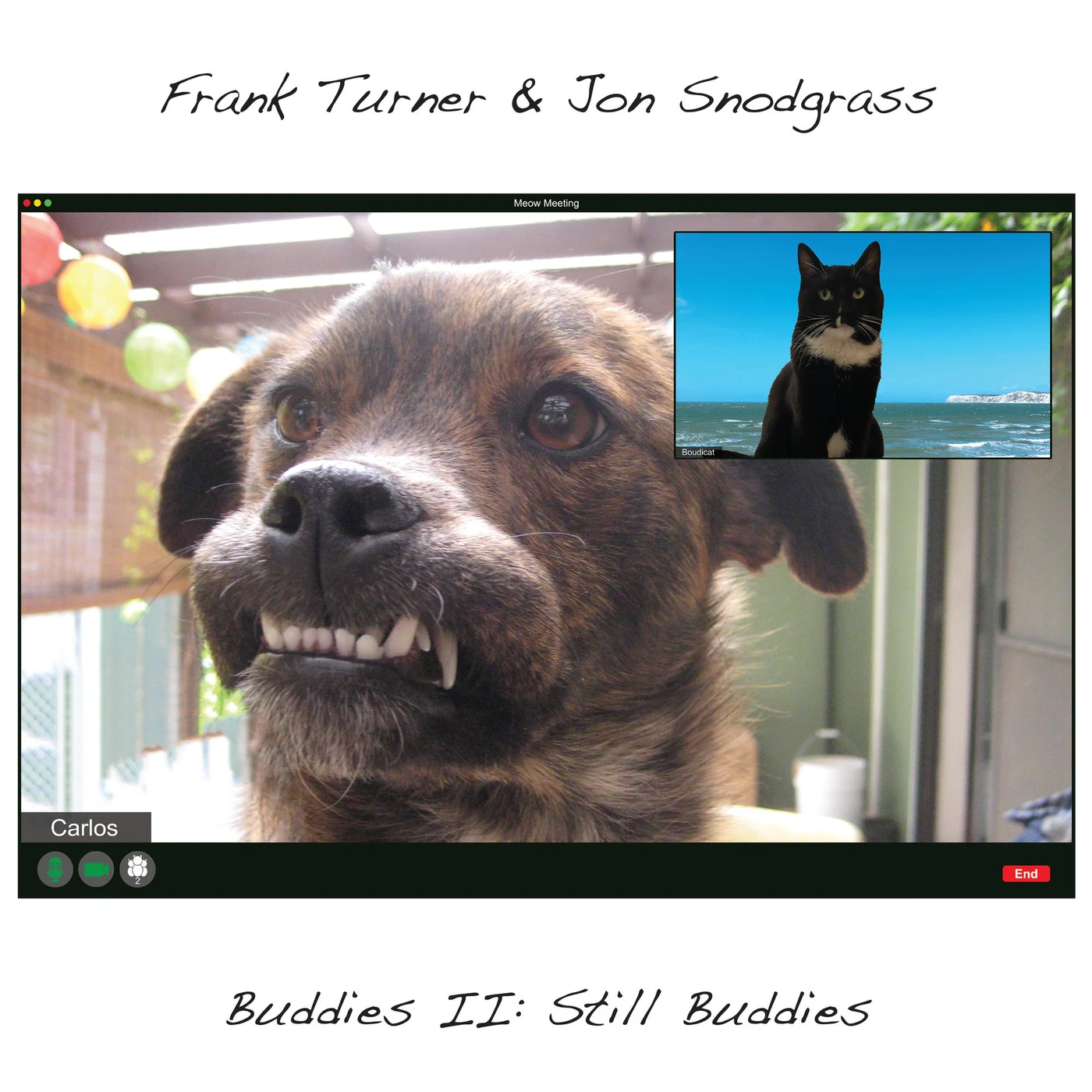 Frank Turner & Jon Snodgrass BUDDIES II: STILL BUDDIES (SILVER VINYL) Vinyl Record