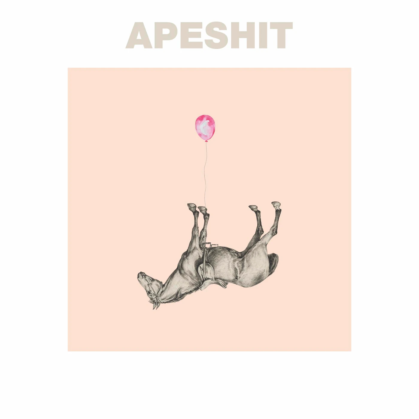 The Sound Of Animals Fighting APESHIT Vinyl Record