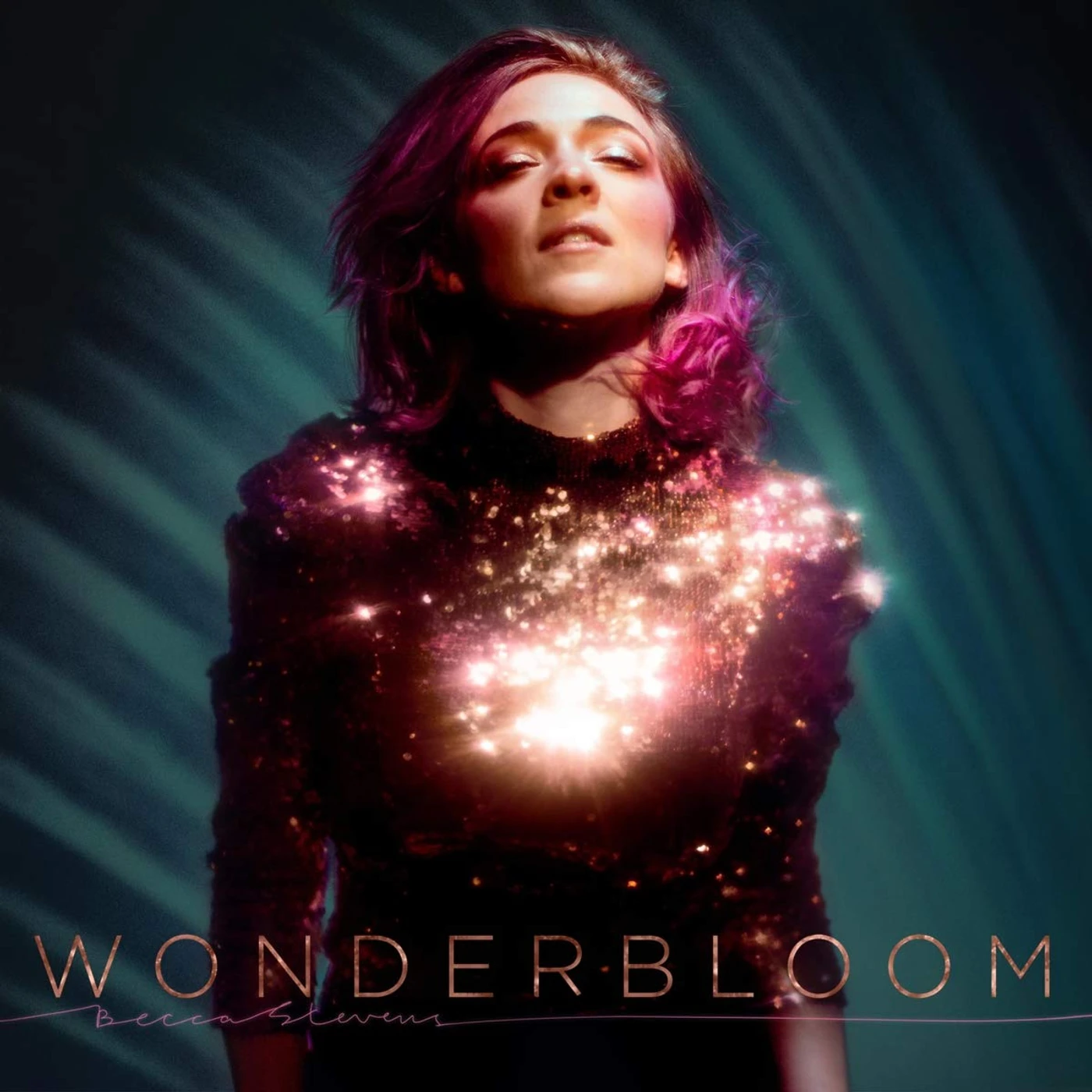 Becca Stevens WONDERBLOOM Vinyl Record