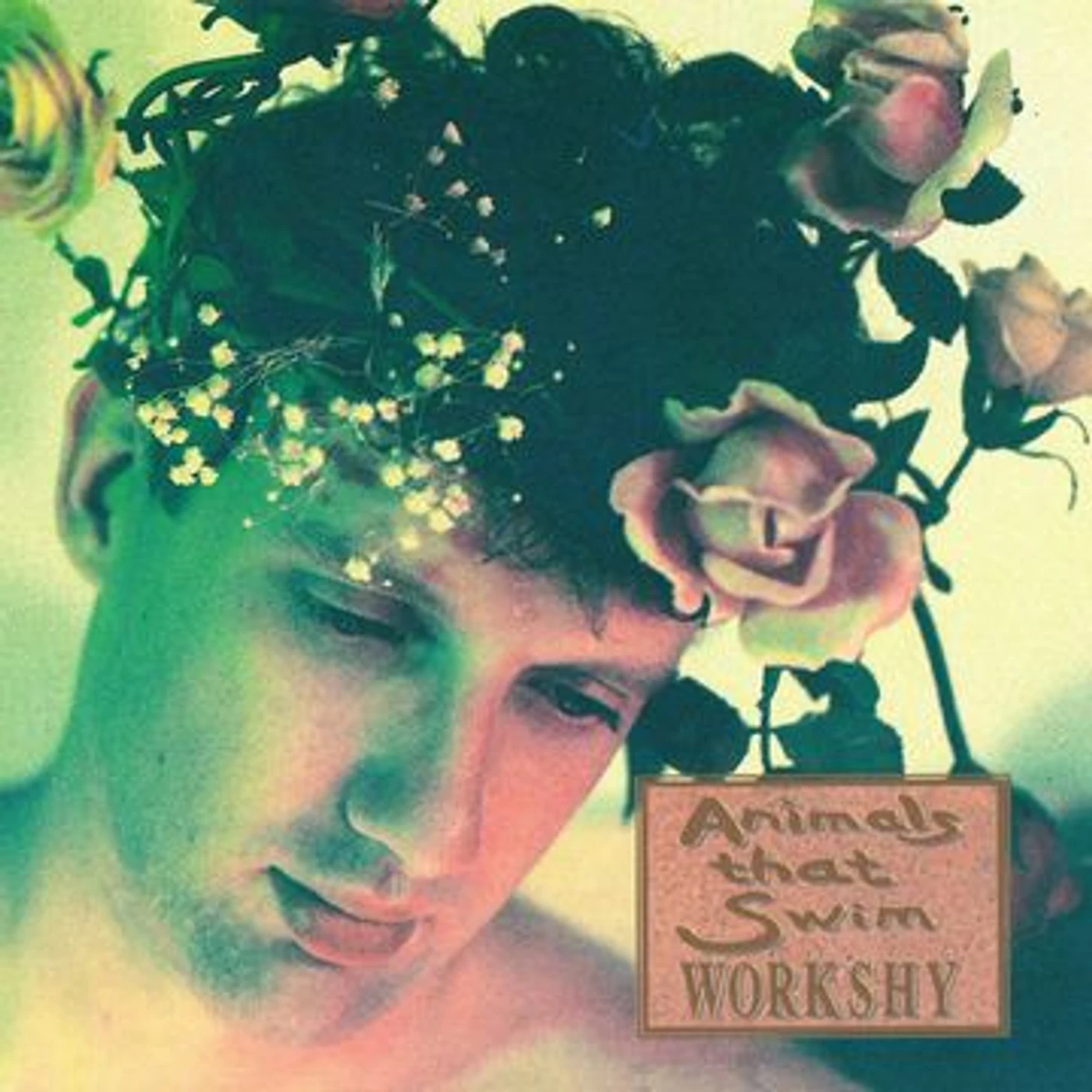 Animals That Swim Workshy Vinyl Record