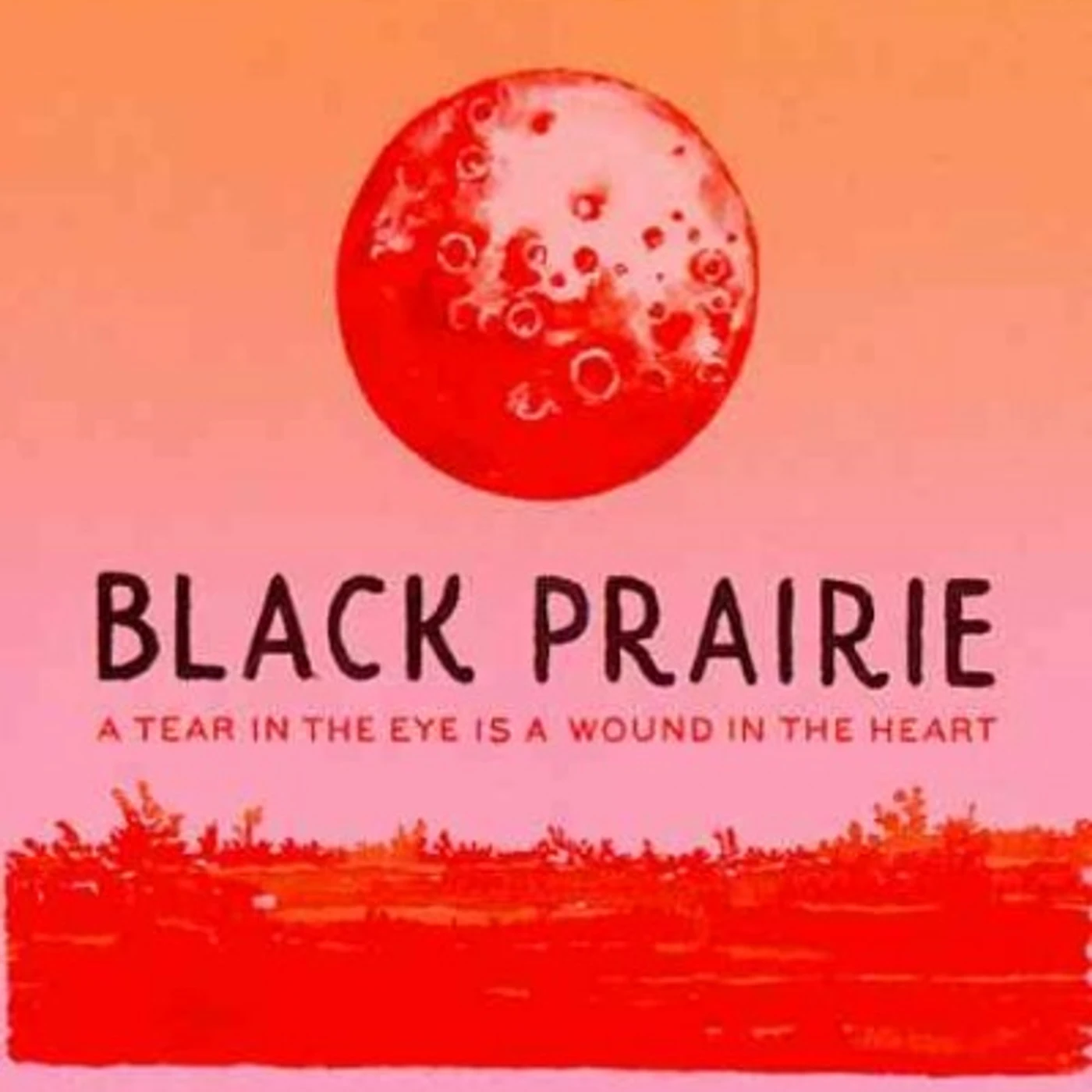 Black Prairie A Tear In The Eye Is A Wound.. CD
