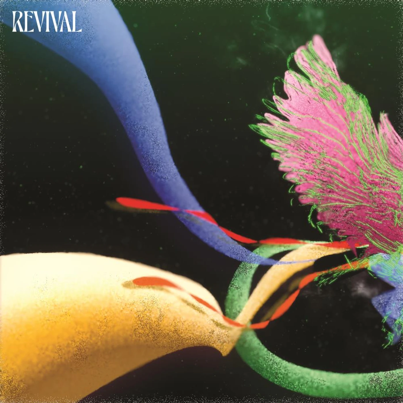 Judah & the Lion REVIVAL CD