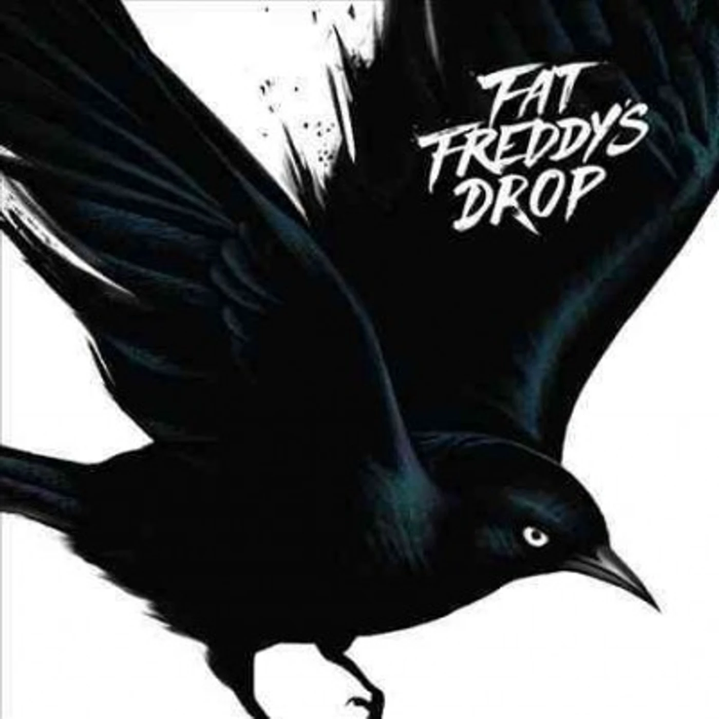 Fat Freddy's Drop Blackbird CD