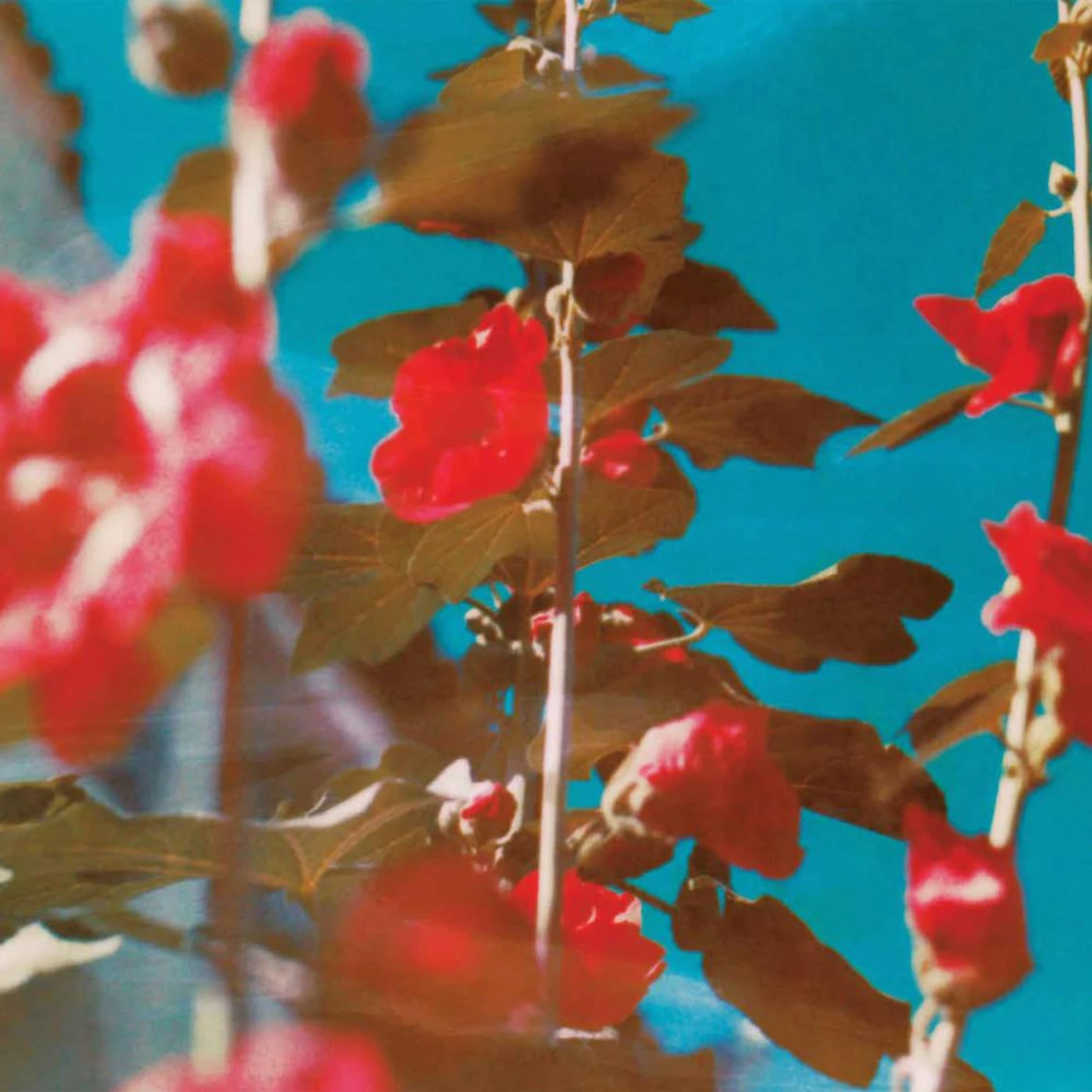Chad Lawson BREATHE CD