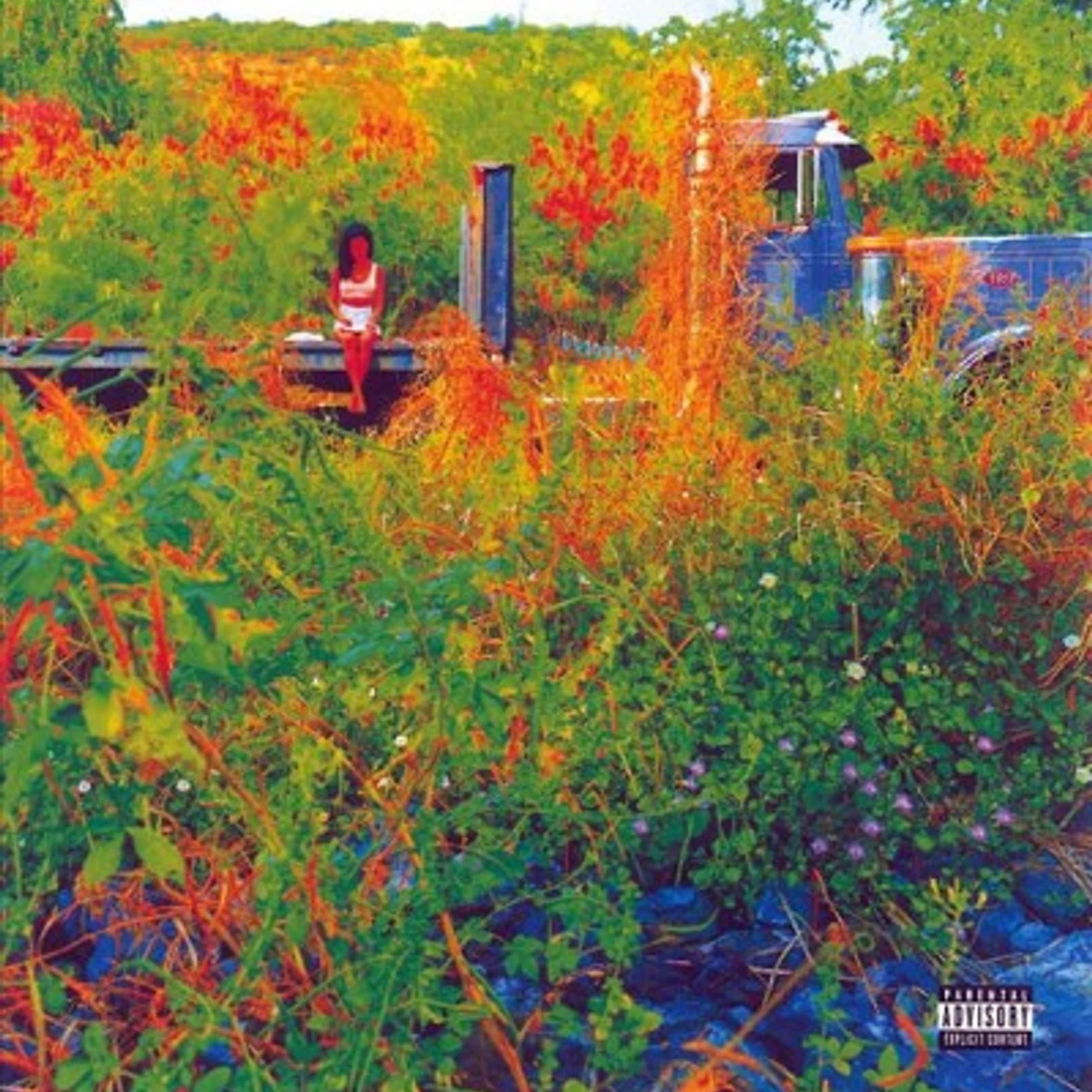 Jhené Aiko TRIP CD