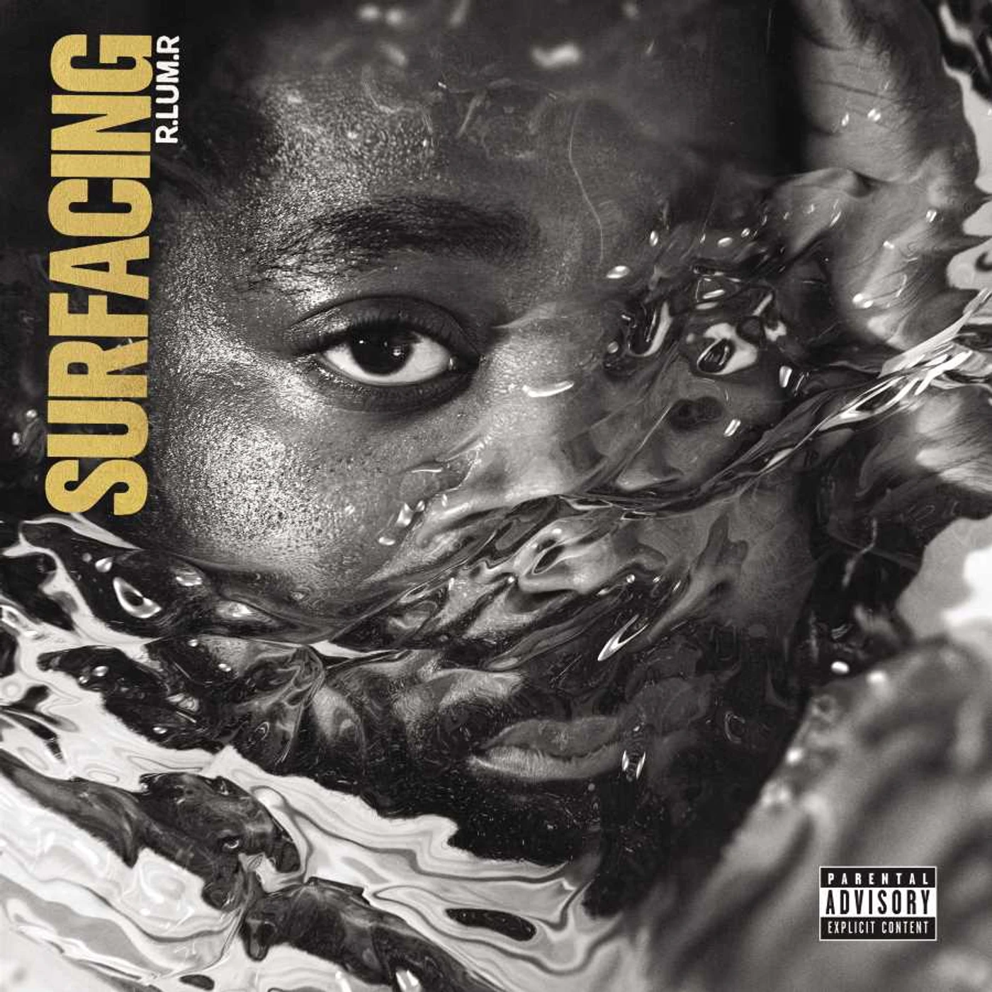 R.LUM.R SURFACING CD