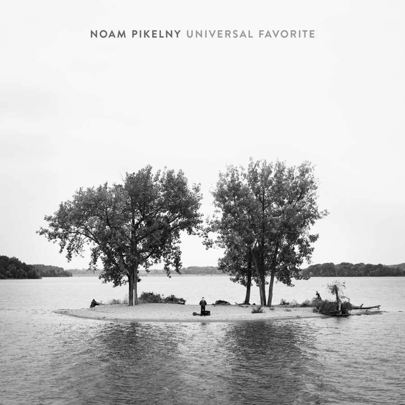 Noam Pikelny Universal Favorit(Lp Vinyl Record