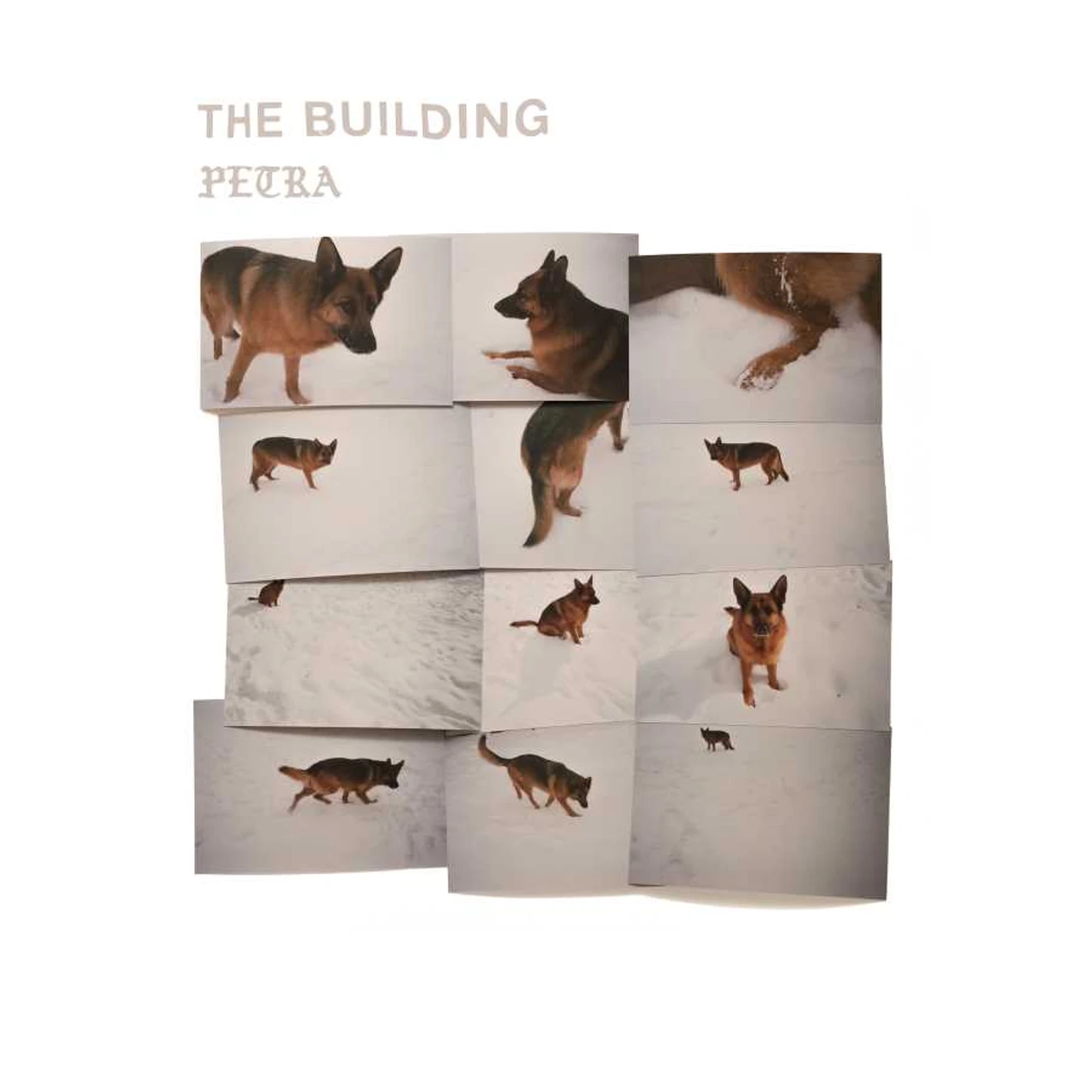 Building PETRA Vinyl Record