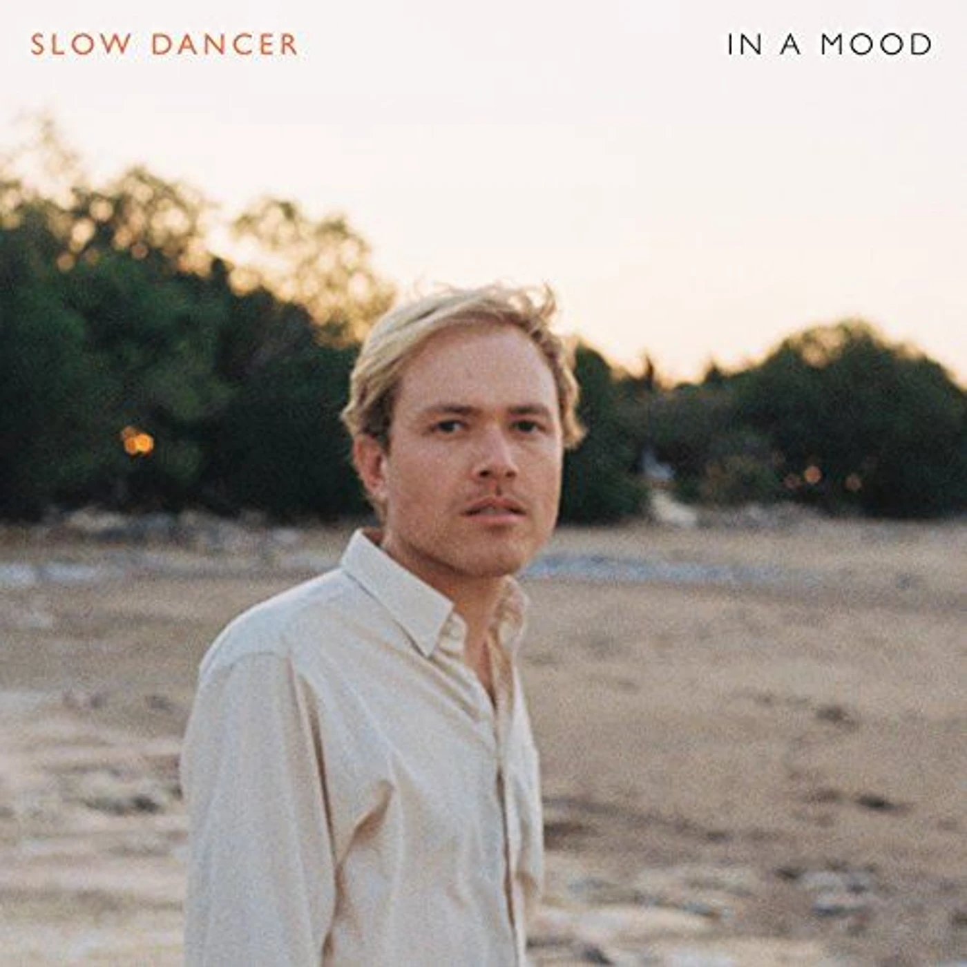 Slow Dancer IN A MOOD Vinyl Record